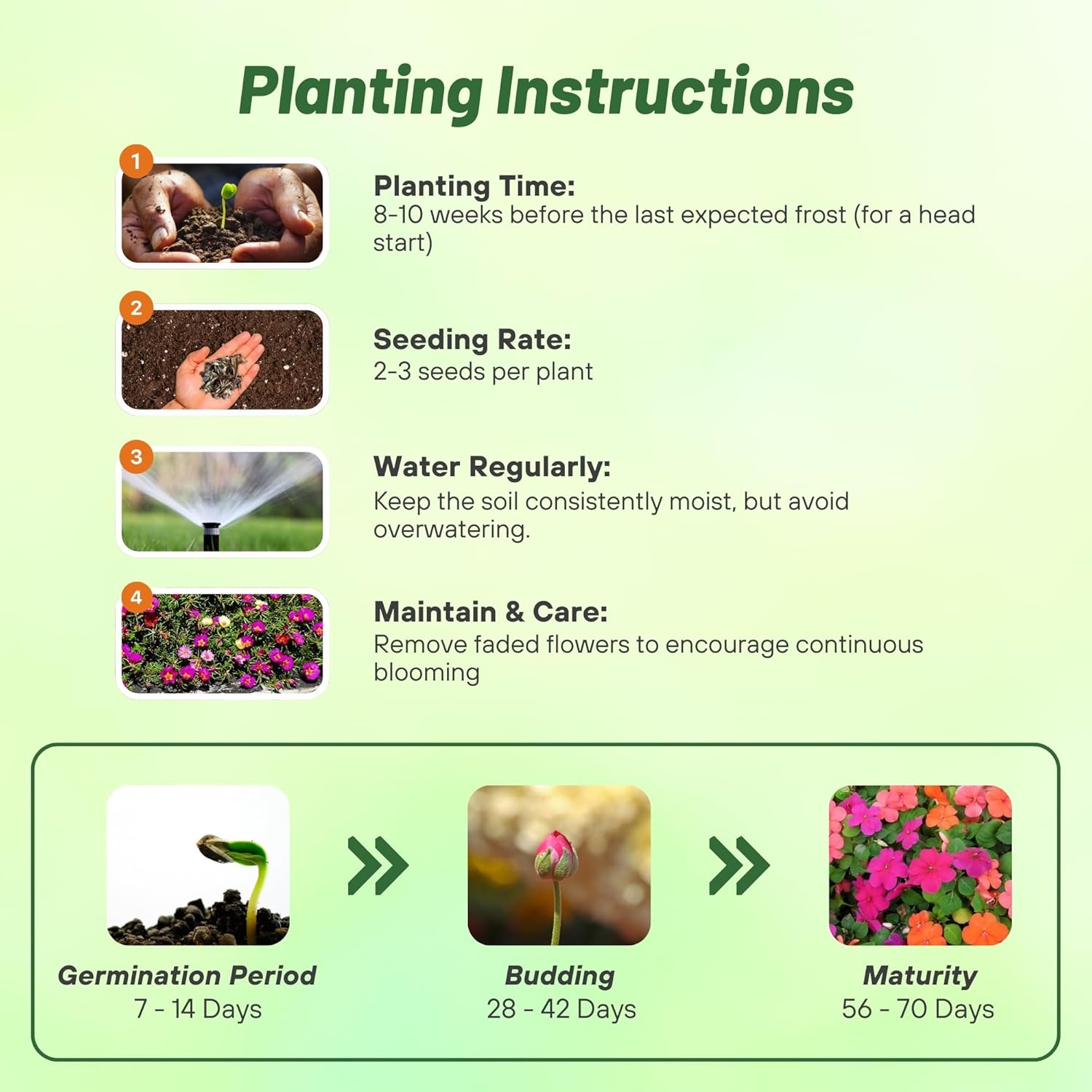 Impatiens Voodoo Planting Diretions