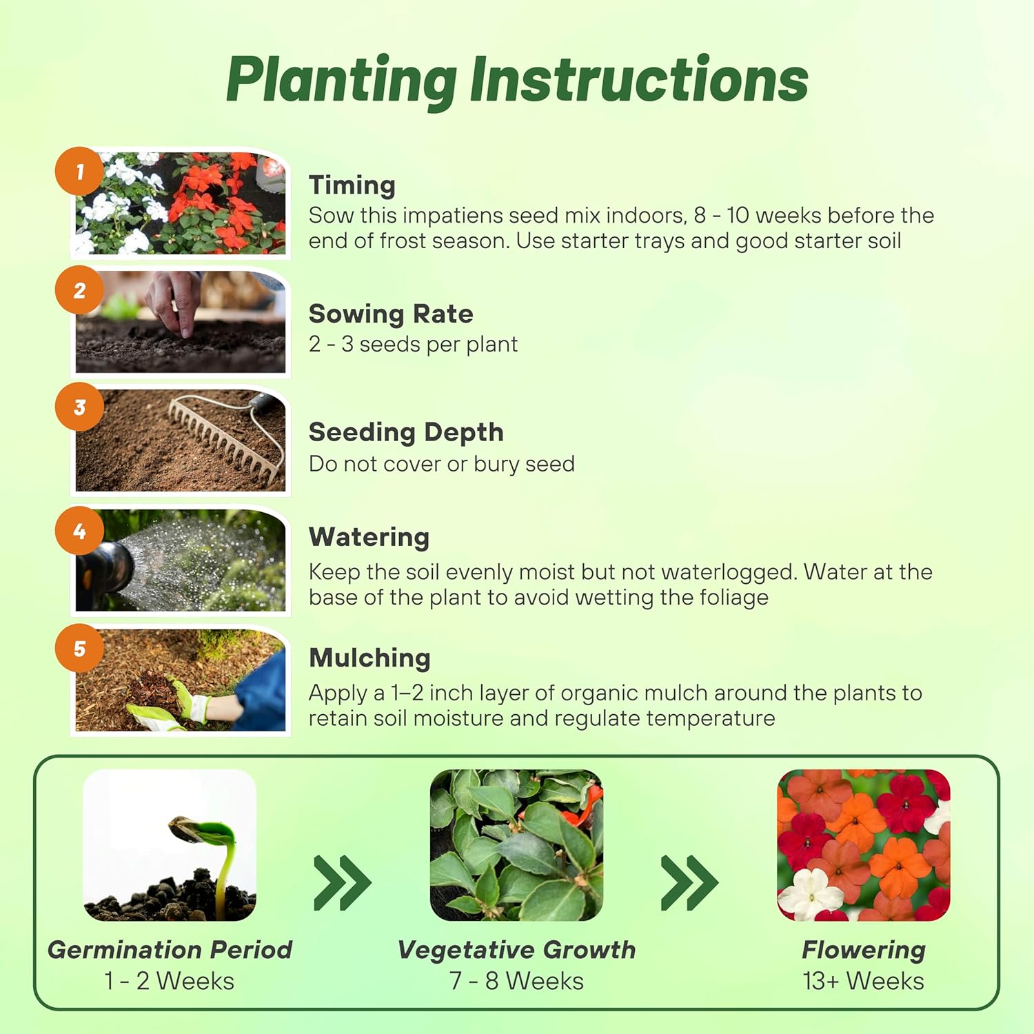 Impatiens Imara XDR Hot Planting Directions