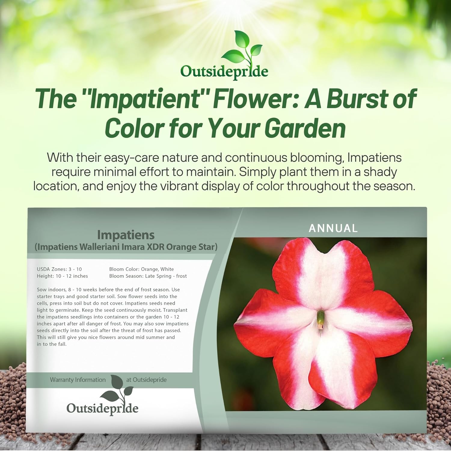 Impatiens Imara XDR Orange Star Seed Packet