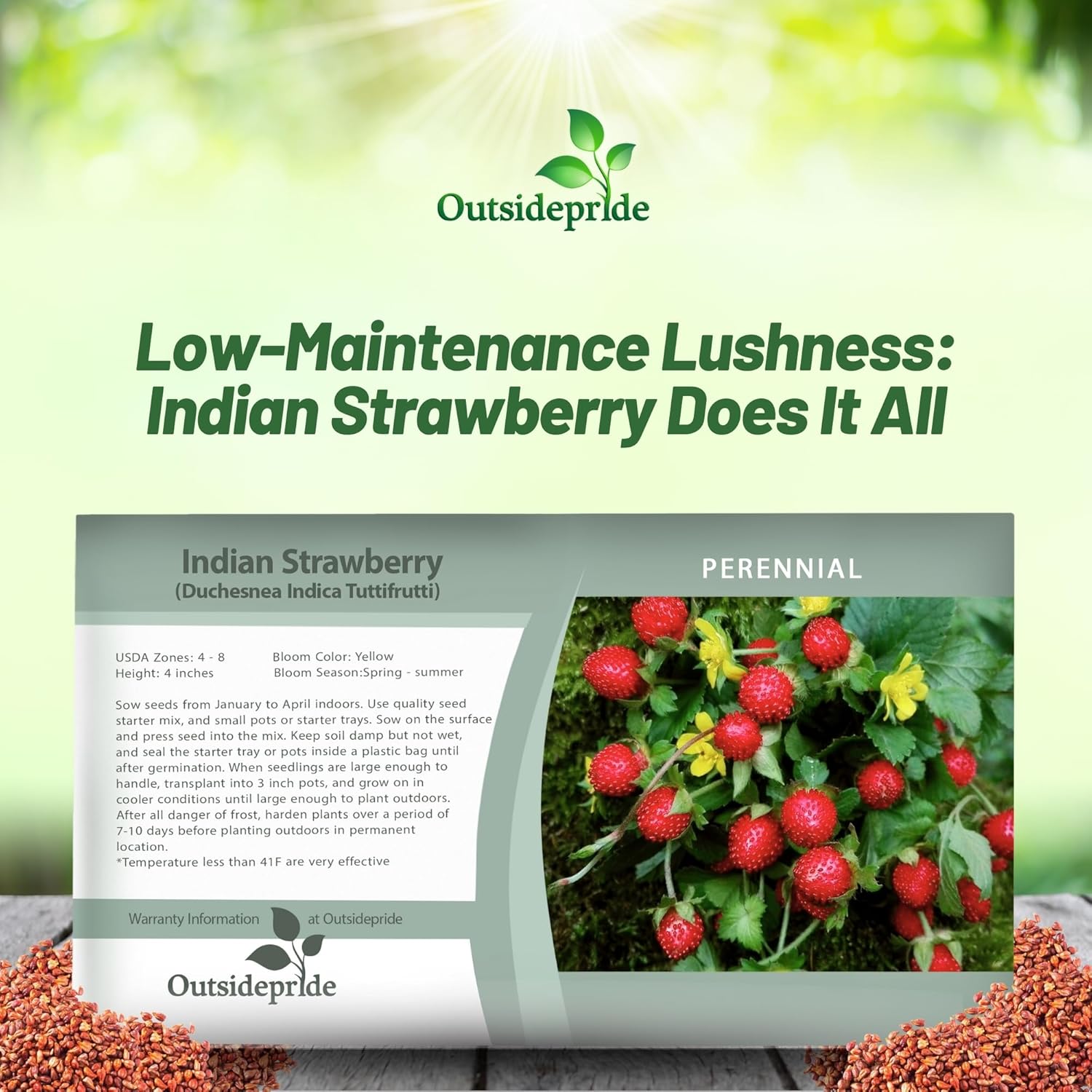 Indian Strawberry Fruit Seed Packet