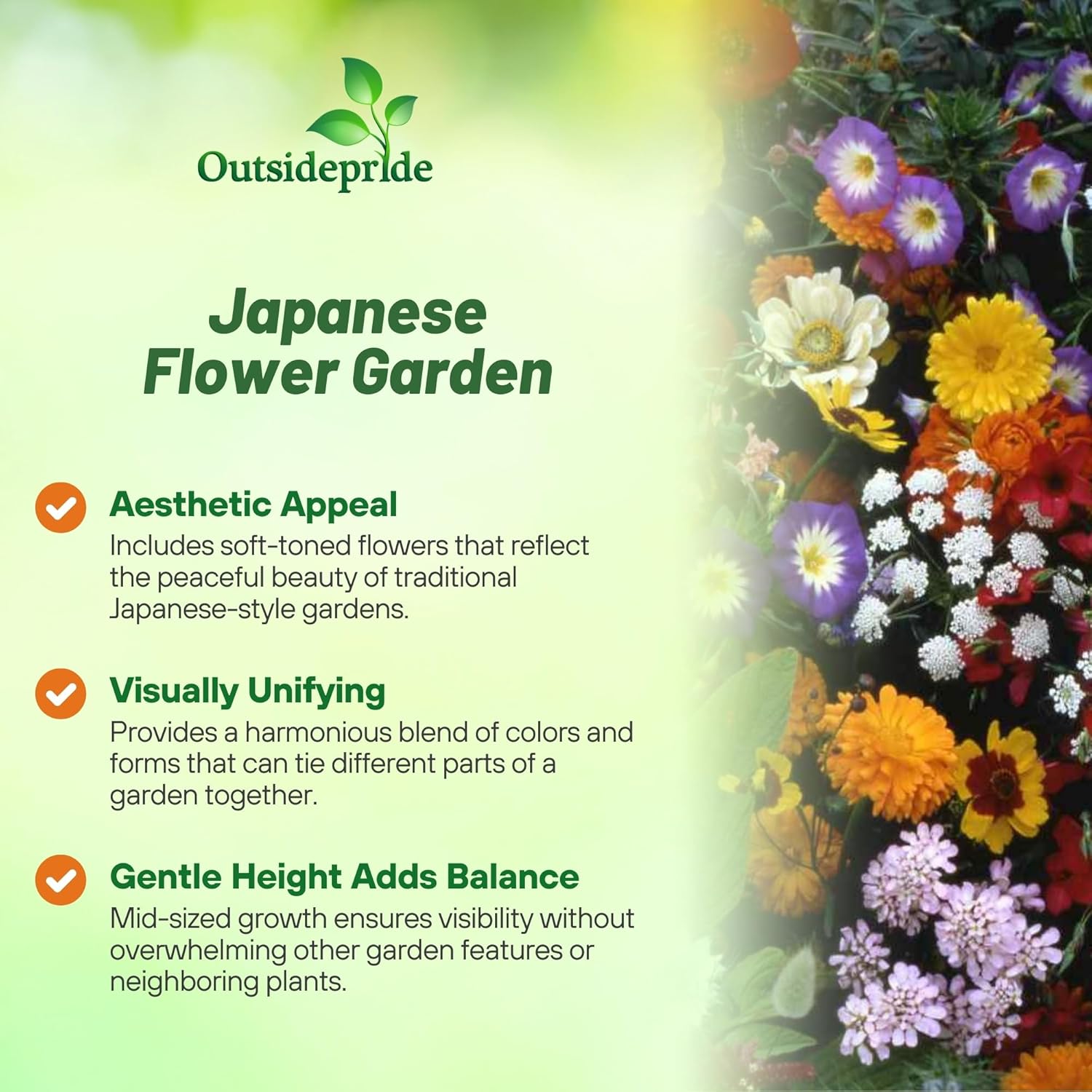 Japanese Flower Garden Seed Mixture