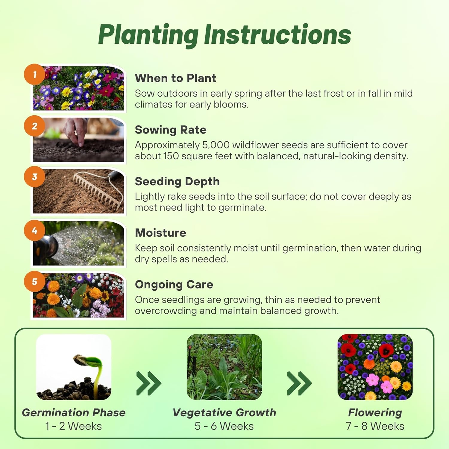 Japanese Flower Planting Directions
