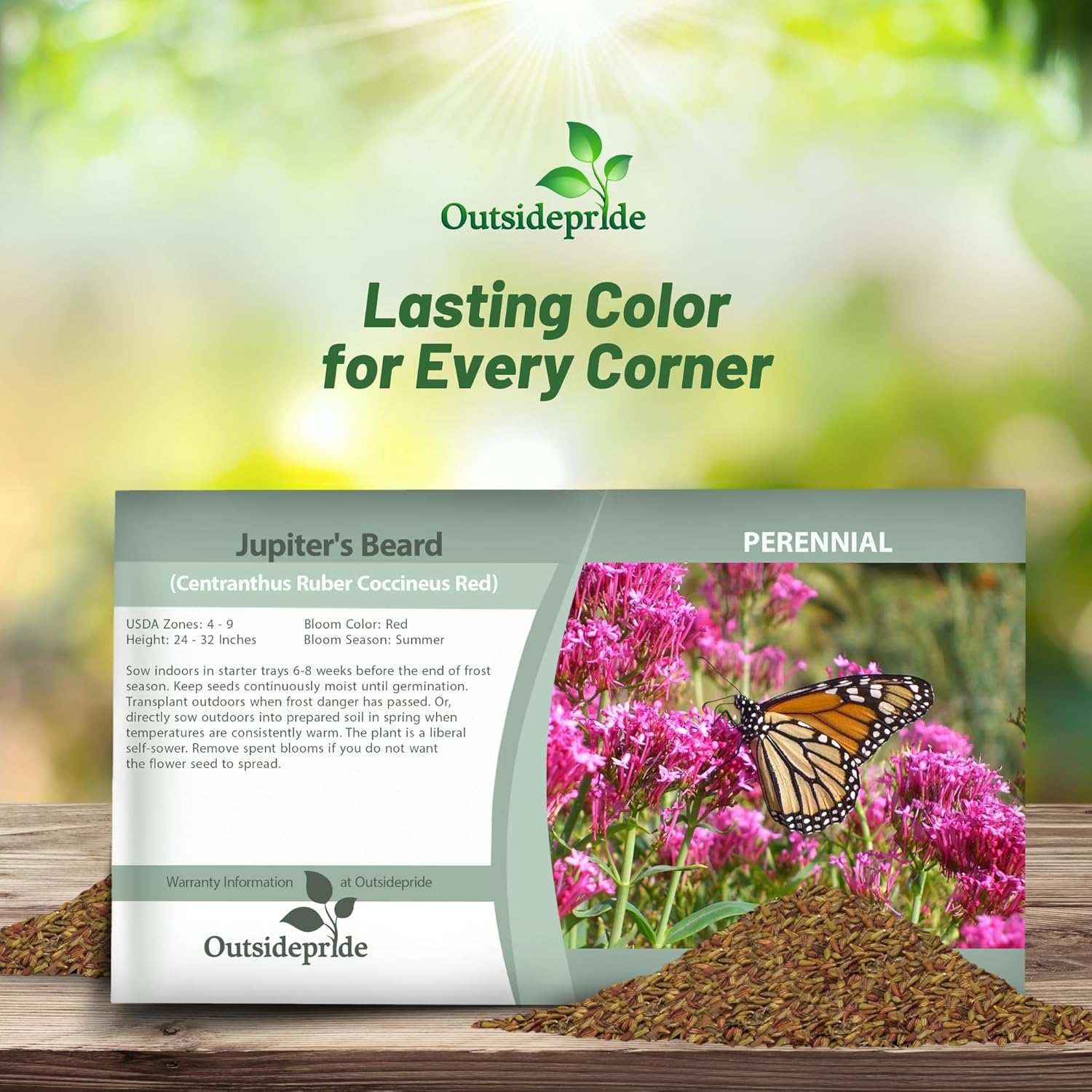 Jupiters Beard Flower Seed Packet