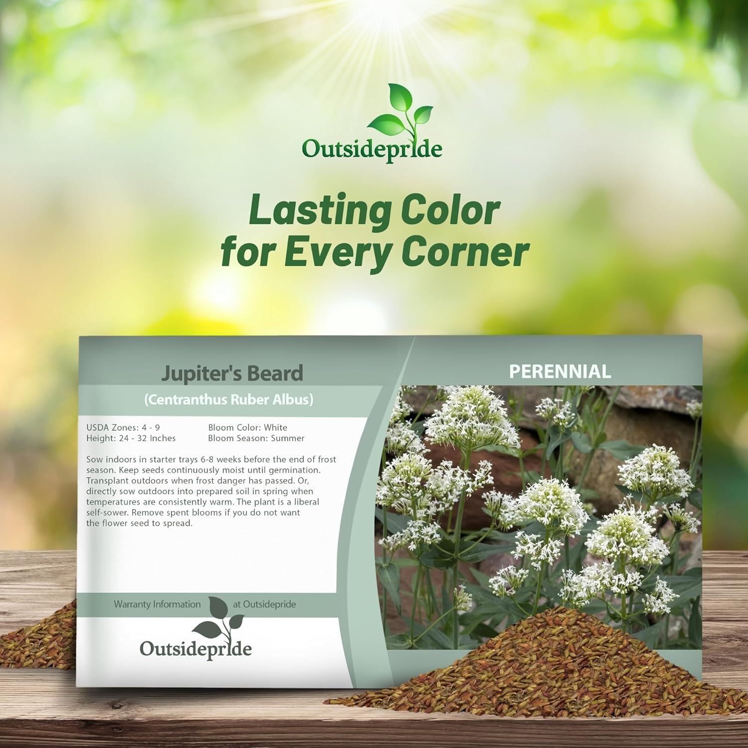 Jupiter's Beard White Seed Packets