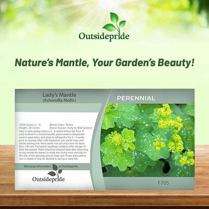 Lady's Mantle Flower Seed Packet