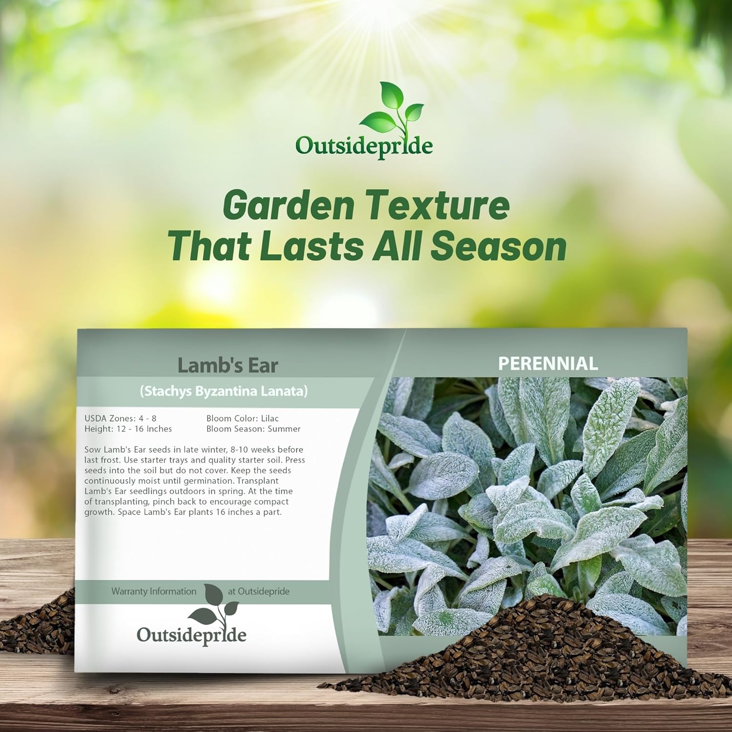 Lamb's Ear Byzantina Seed Packet class=