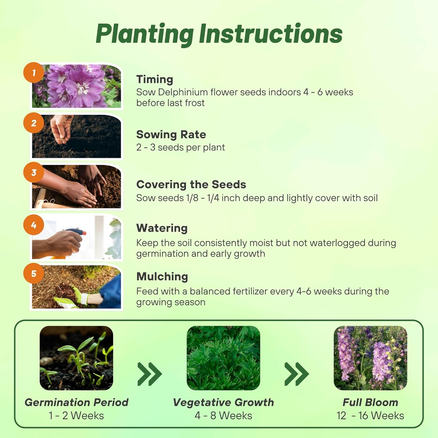 Delphinium Lilac Pink White Bee Directions