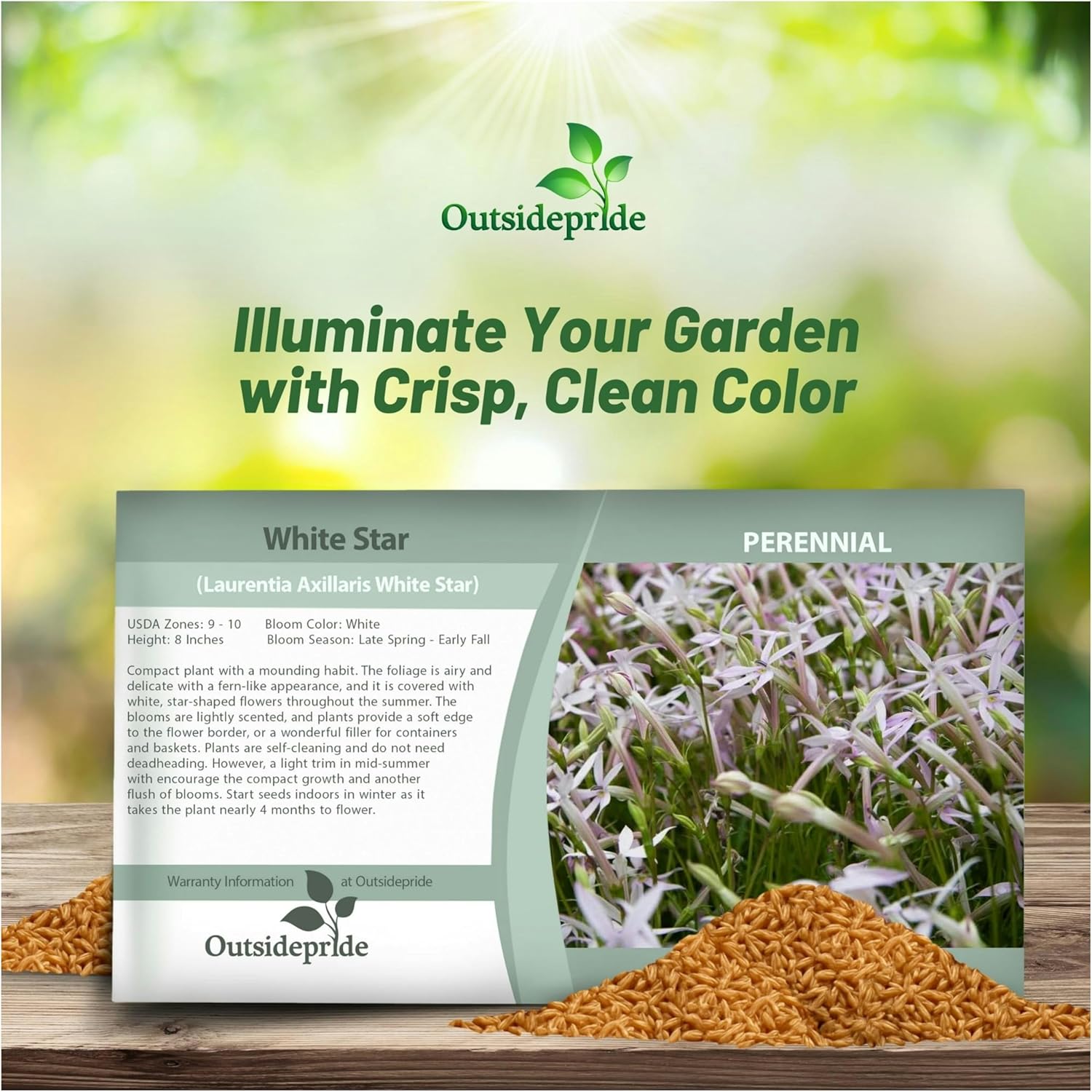 Laurentia White Flower Seed Packet