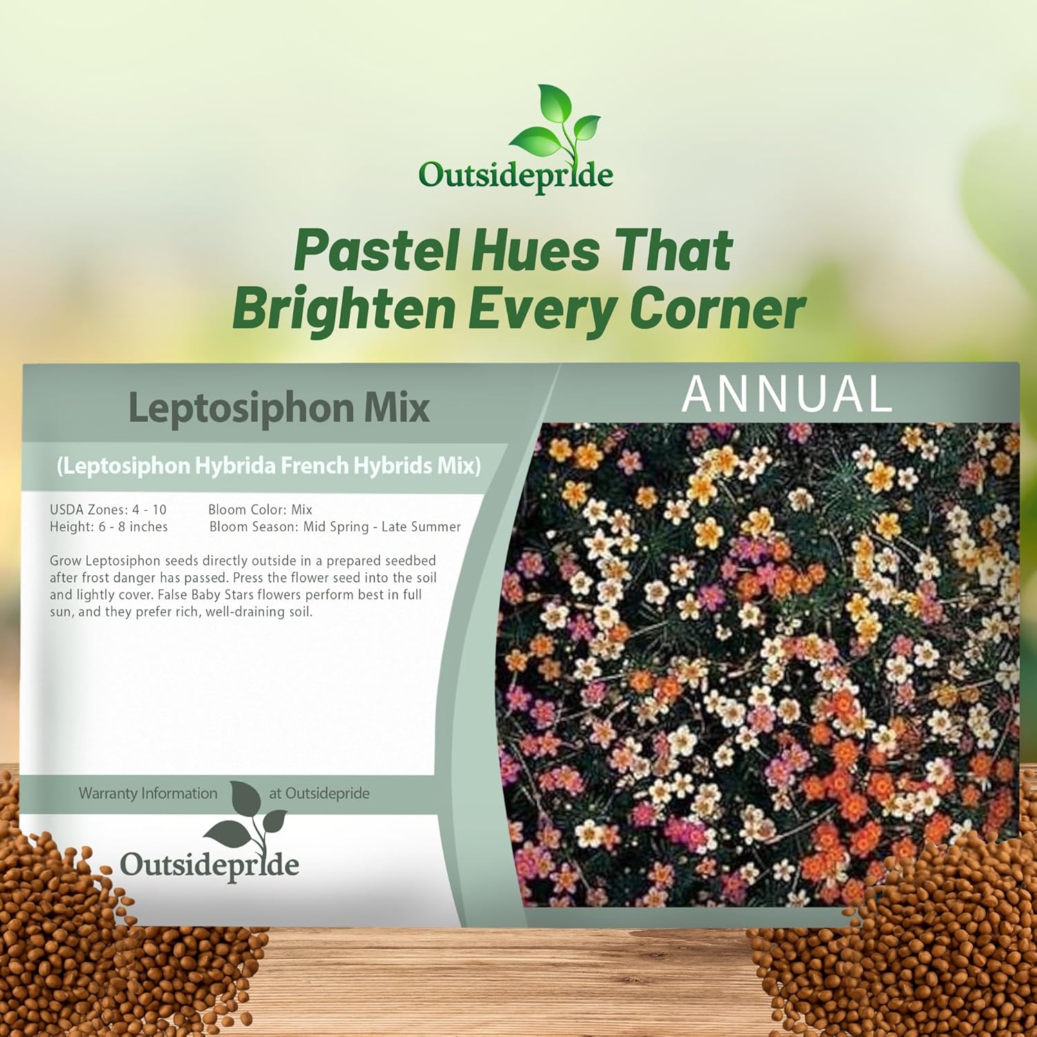 Leptosiphon Ground Cover Seed Packet