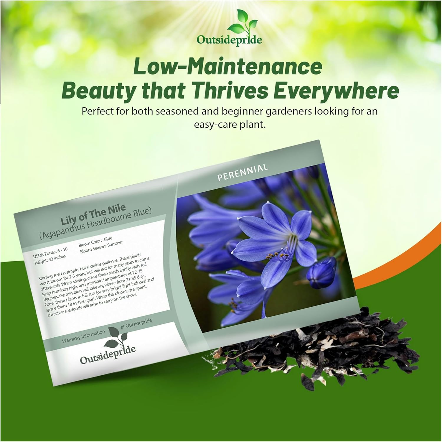 Lily of the Nile Flower Seed Packet
