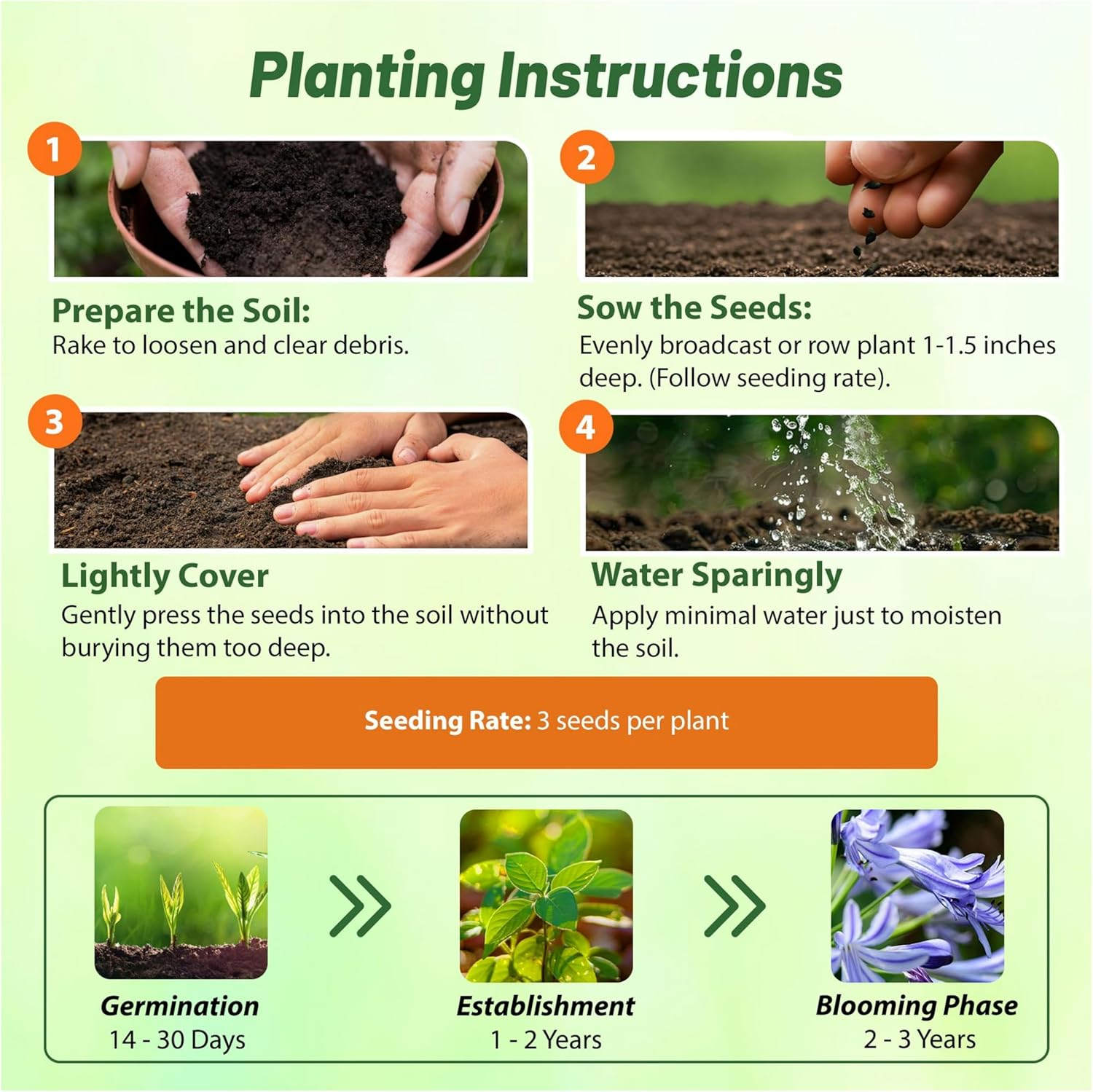 Lily of the Nile Flower Seed Planting Directions