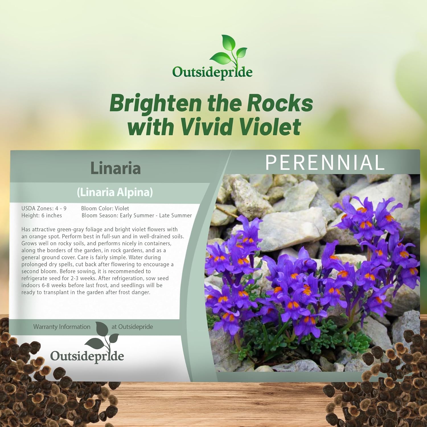 Linaria Ground Cover Seed Packet