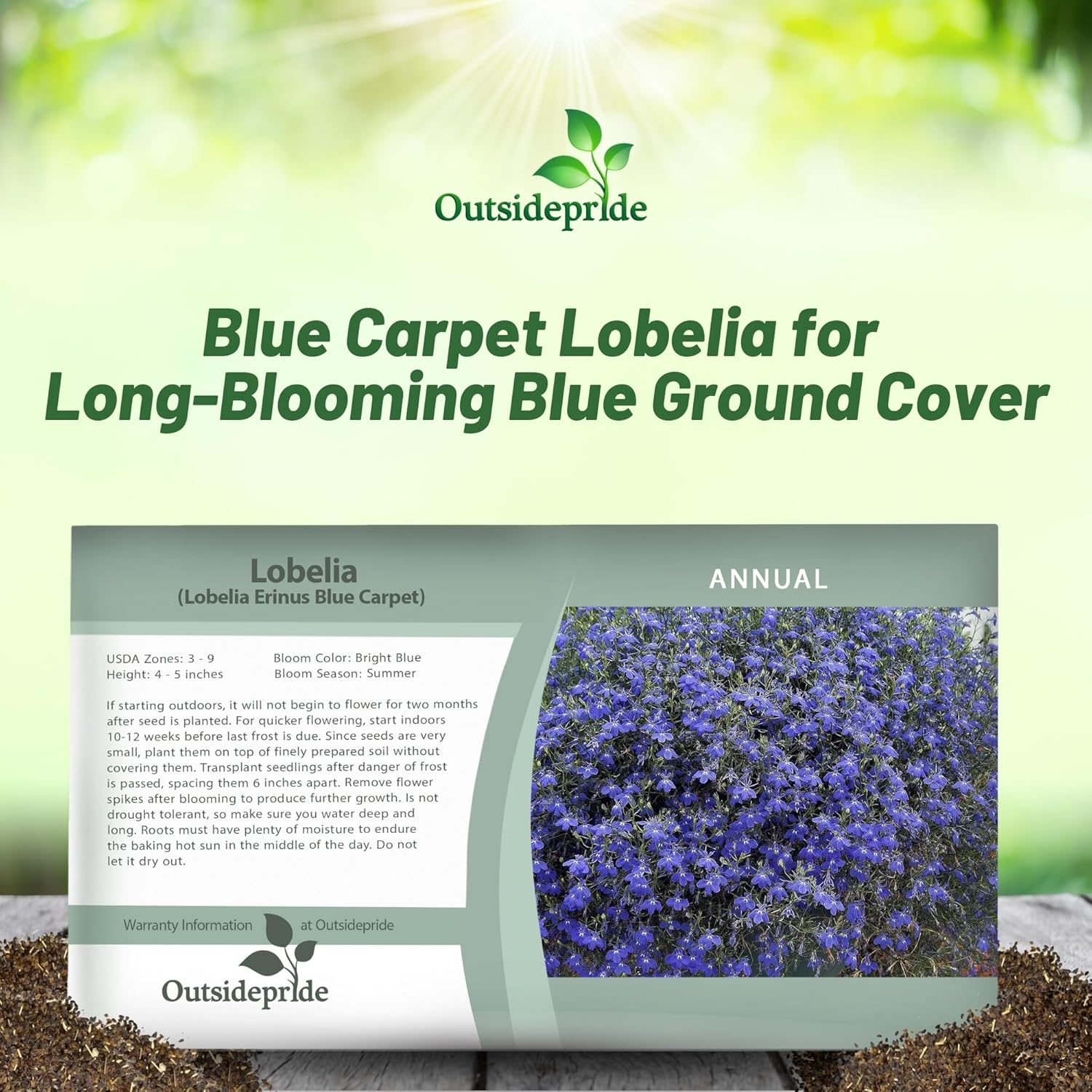 Lobelia Blue Carpet Seed Packet