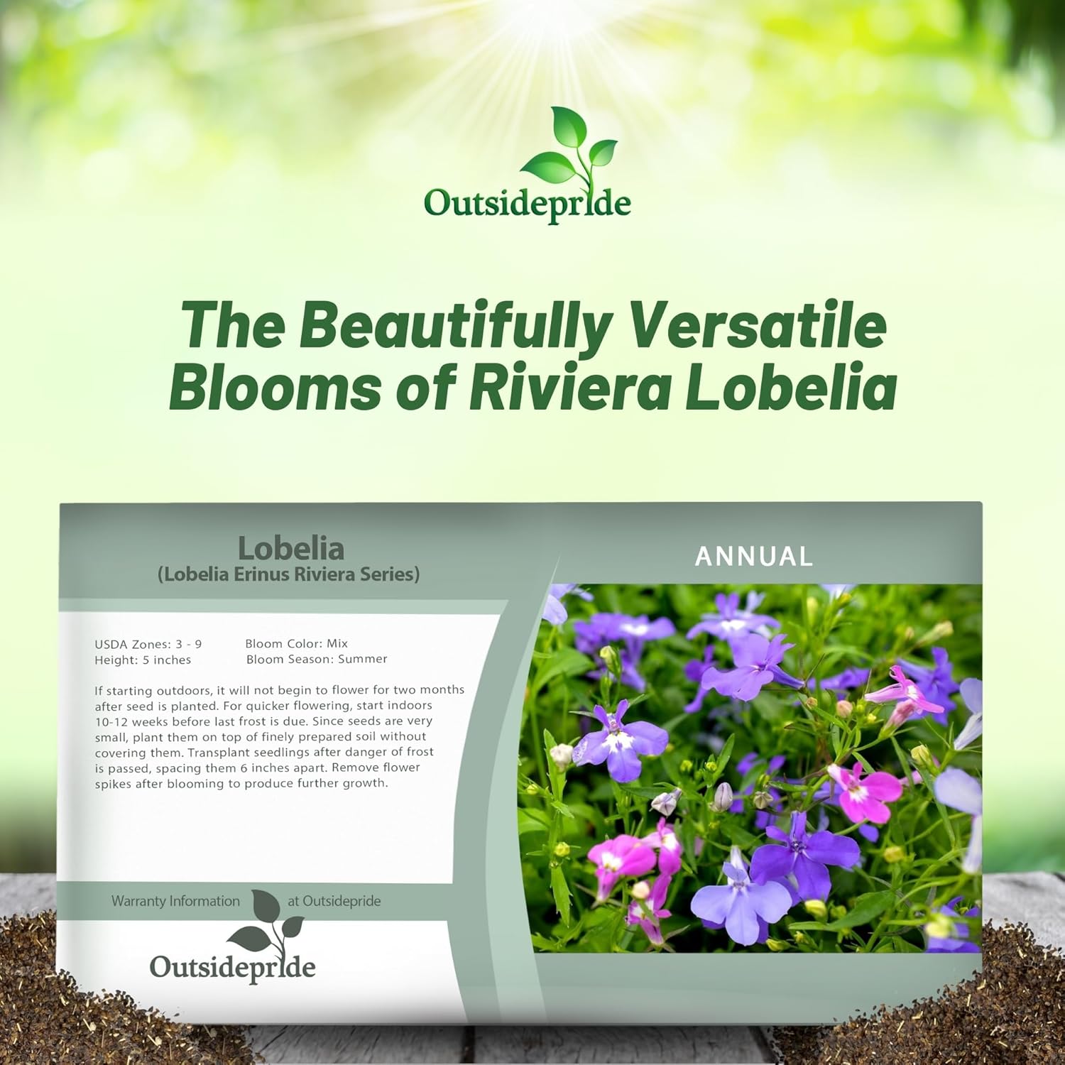 Lobelia Riveria Ground Cover Seed Packet