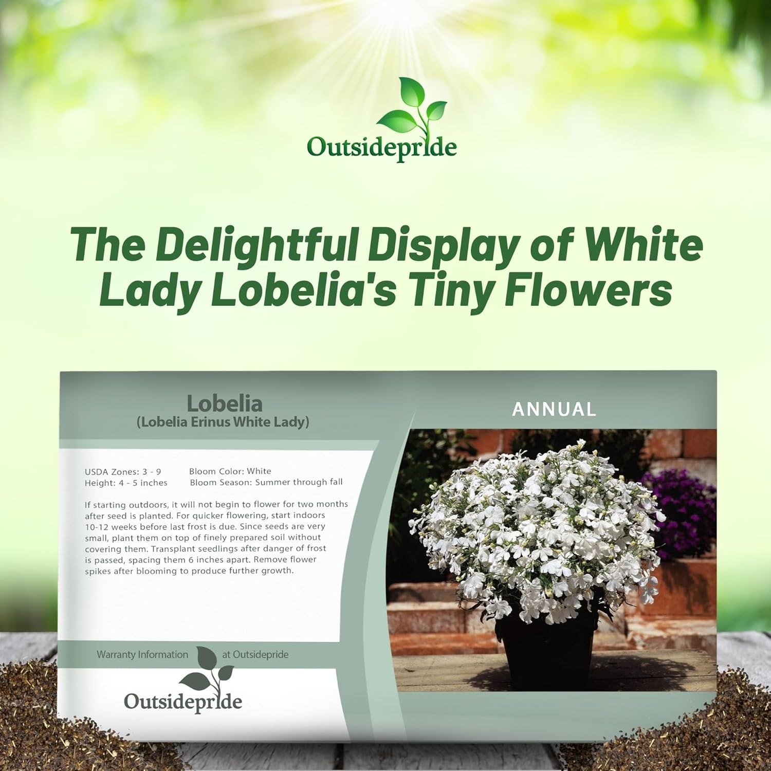 Lobelia White Lady Seed Packets For Planting