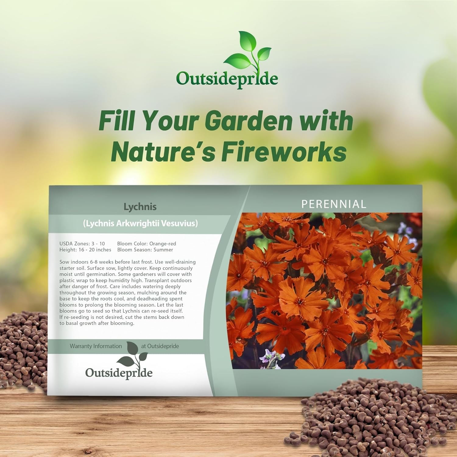 Lychnis Arkwrightii Vesuvius Seed Packet