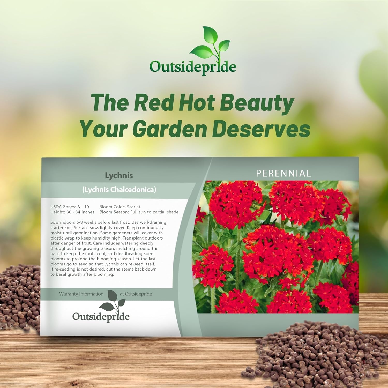Lychnis Maltese Cross Flower Seed Packet
