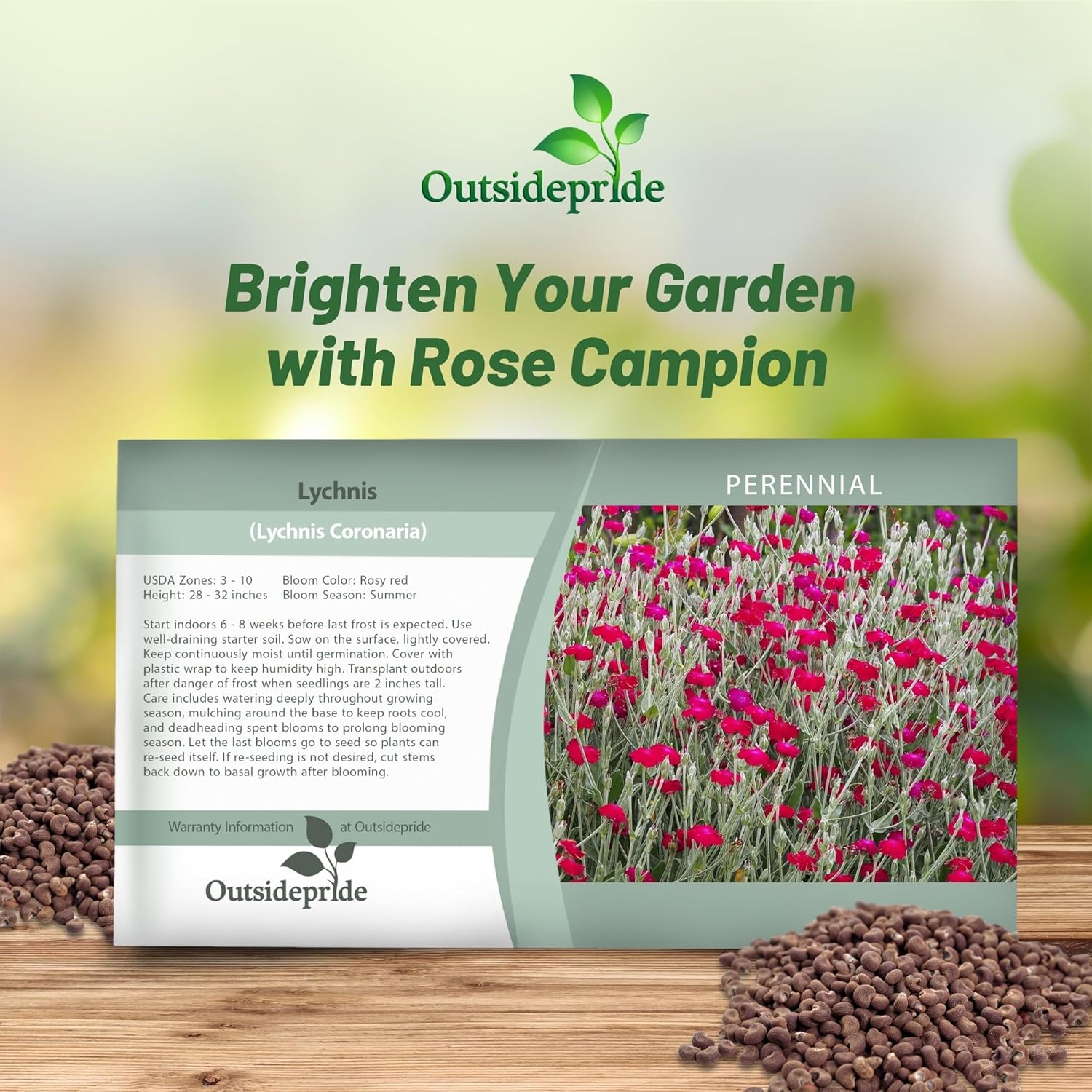 Lychnis Coronaria Seed Packet For Planting