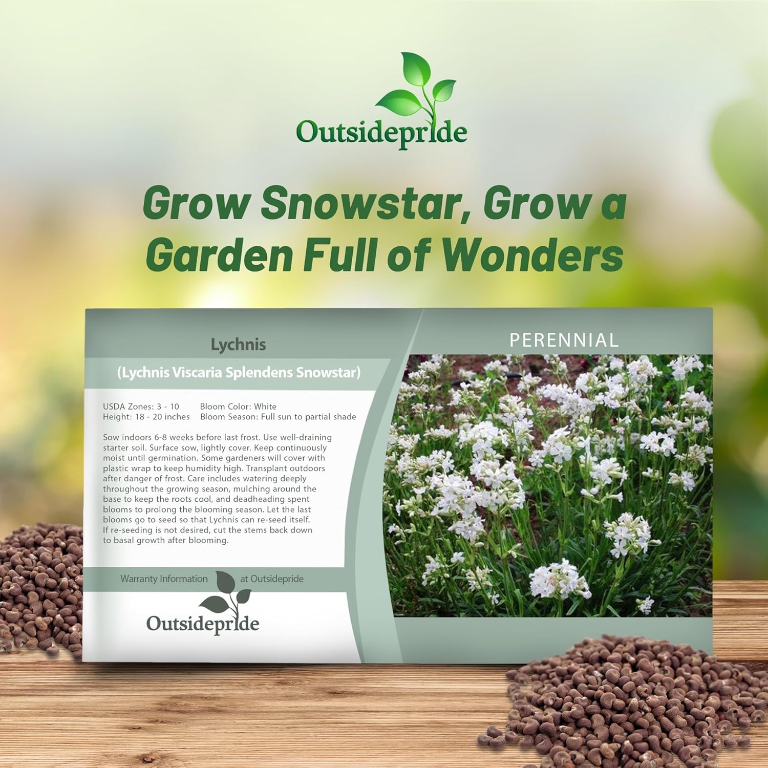 Lychnis Viscaria Snowstar Seed Packet