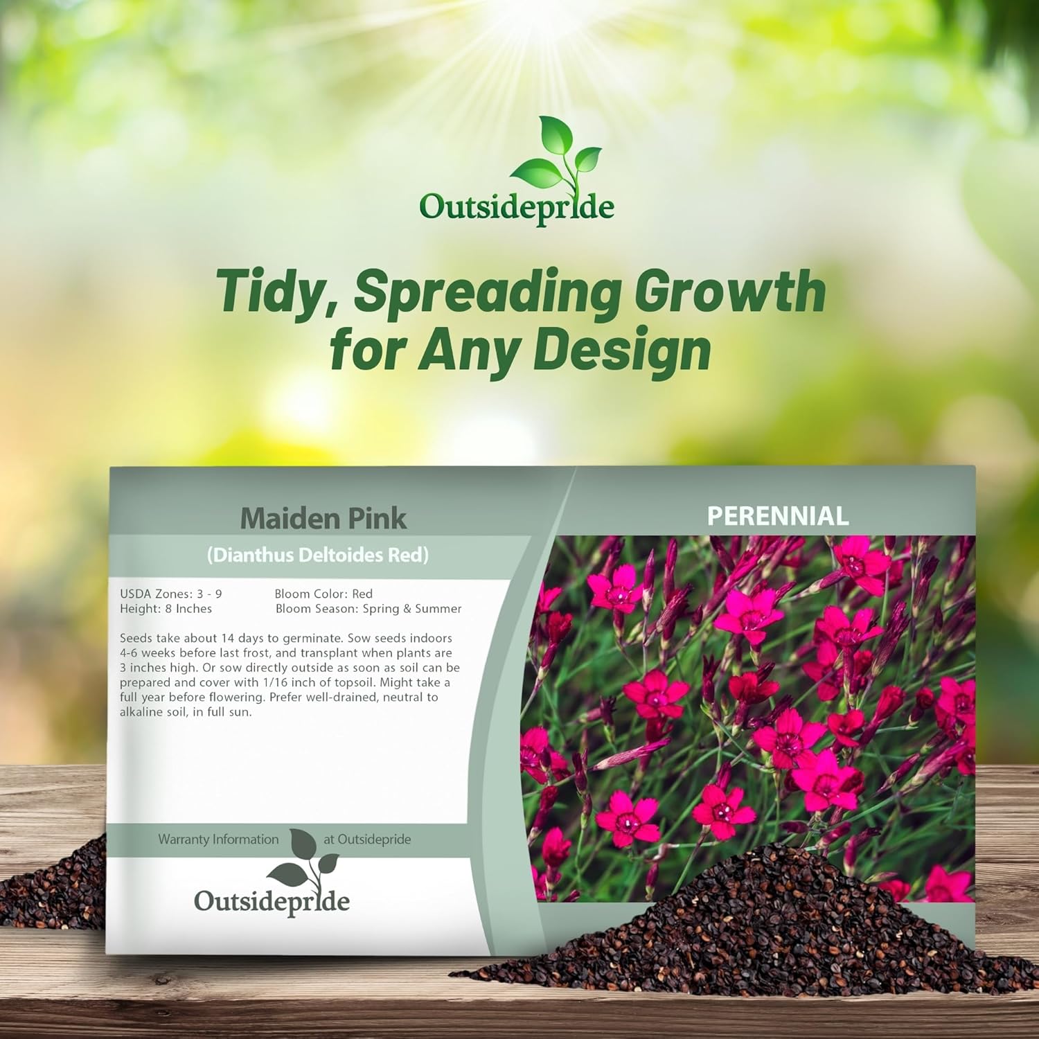 Perennial Dianthus Maiden Pink Seed Packets
