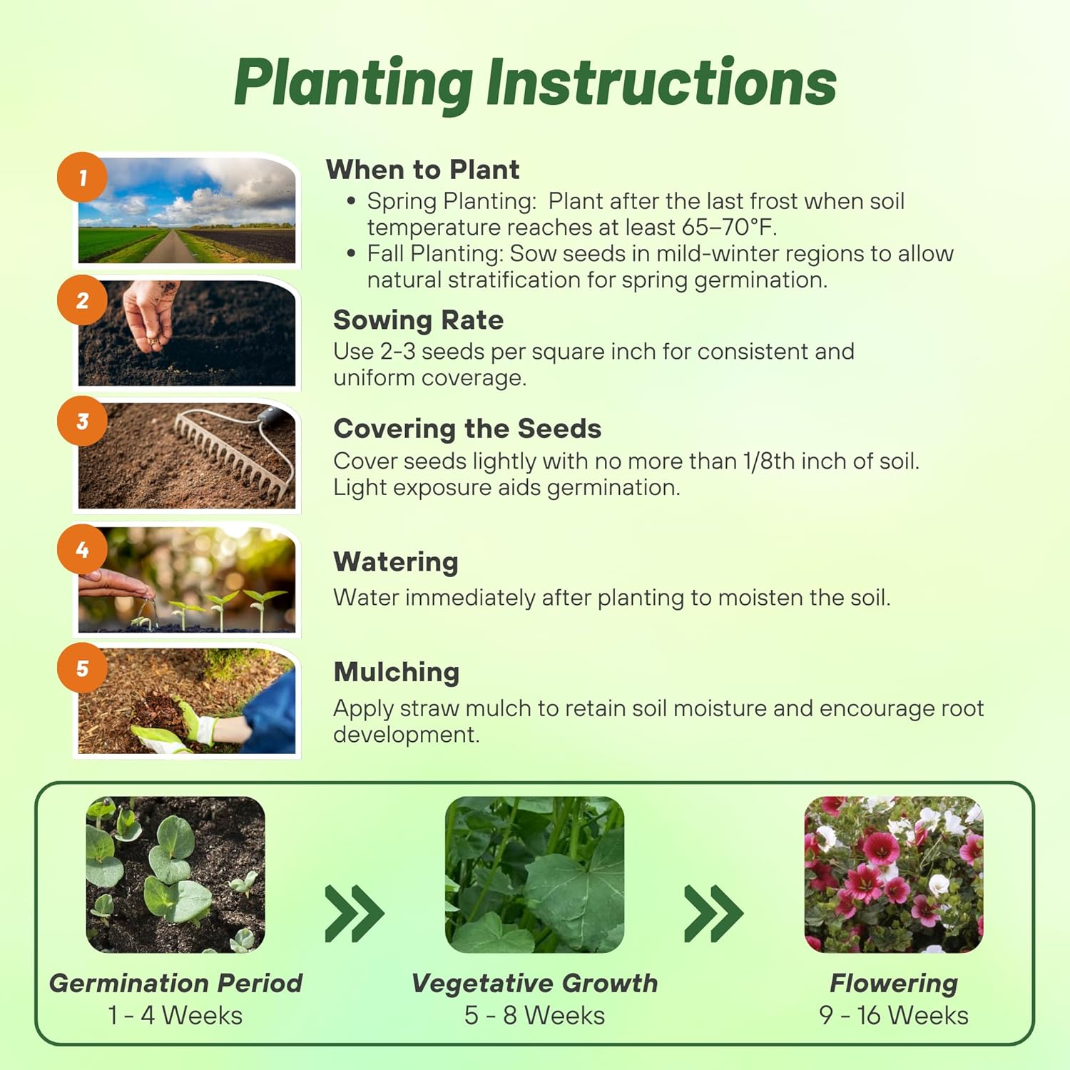 Rose Mallow Seed Mix Planting Directions