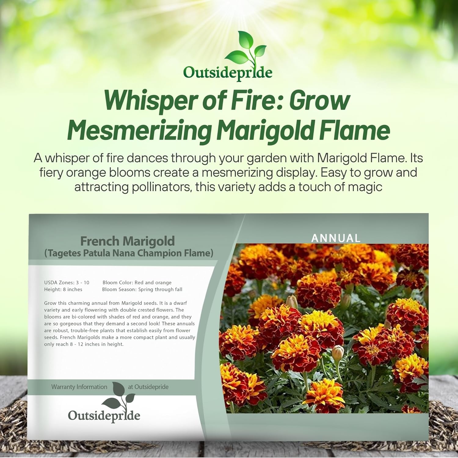 Marigold Flame Flower Seed Packet