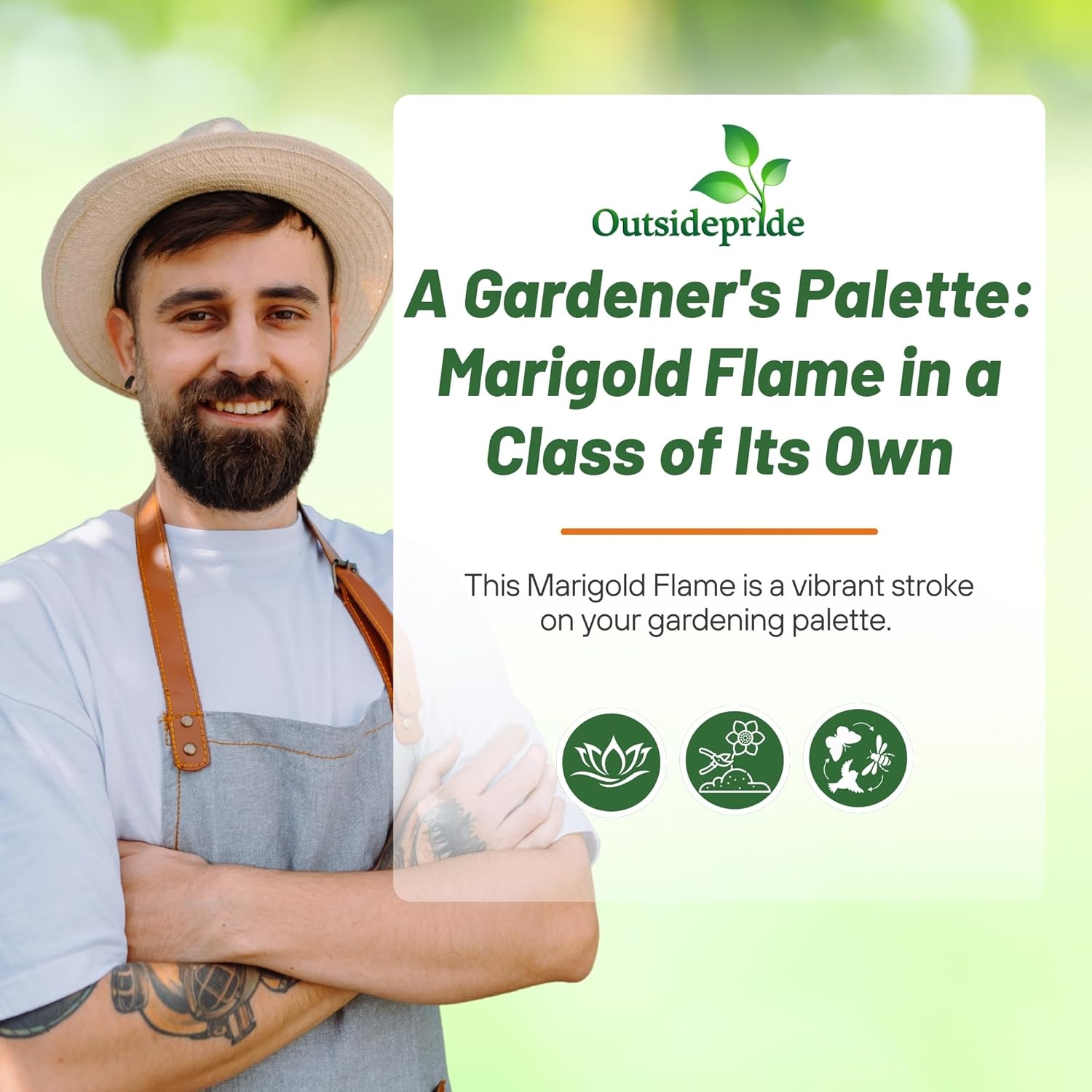 Marigold Flame Flower Seeds