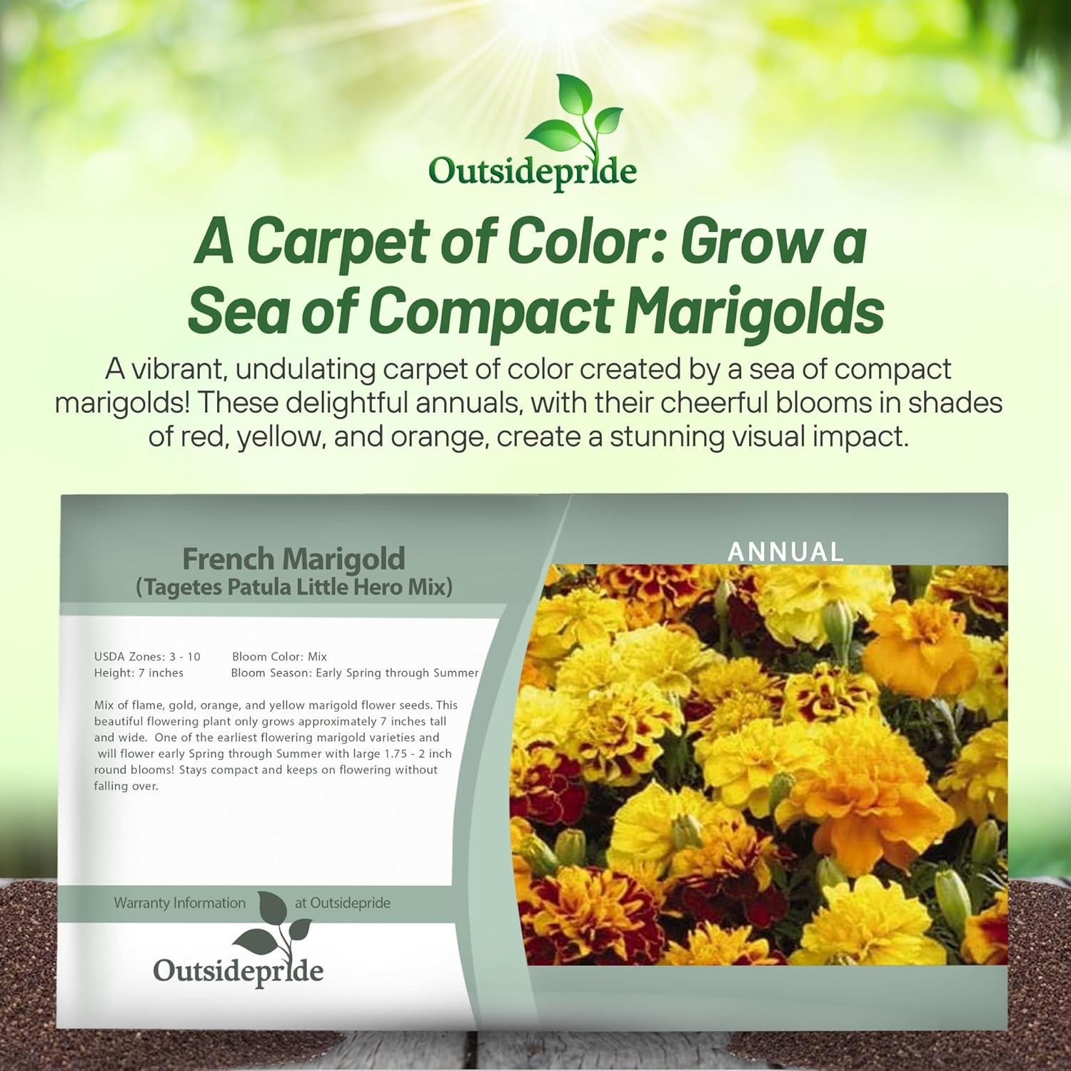 French Marigold Little Hero Seed Packet