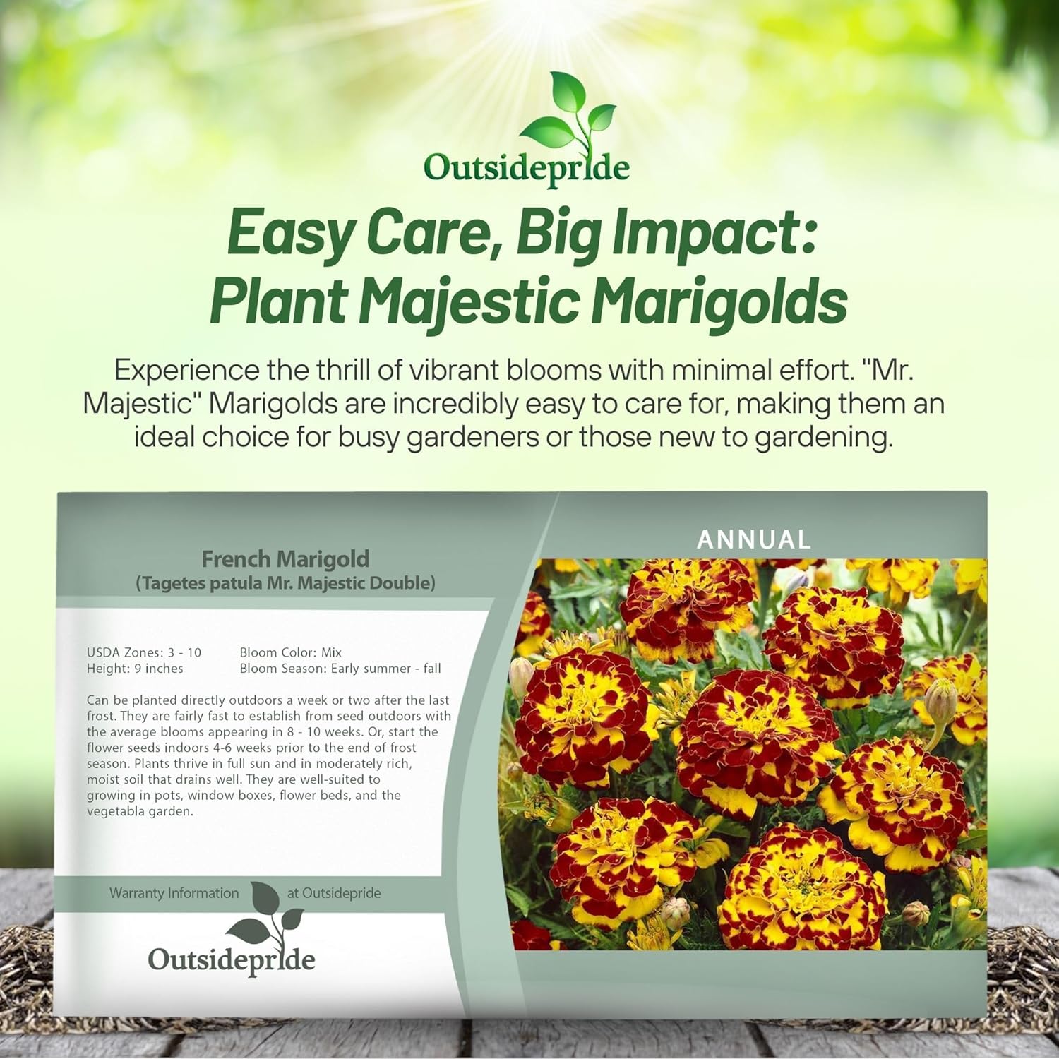 French Marigold Mr. Majestic Double Seed Packet