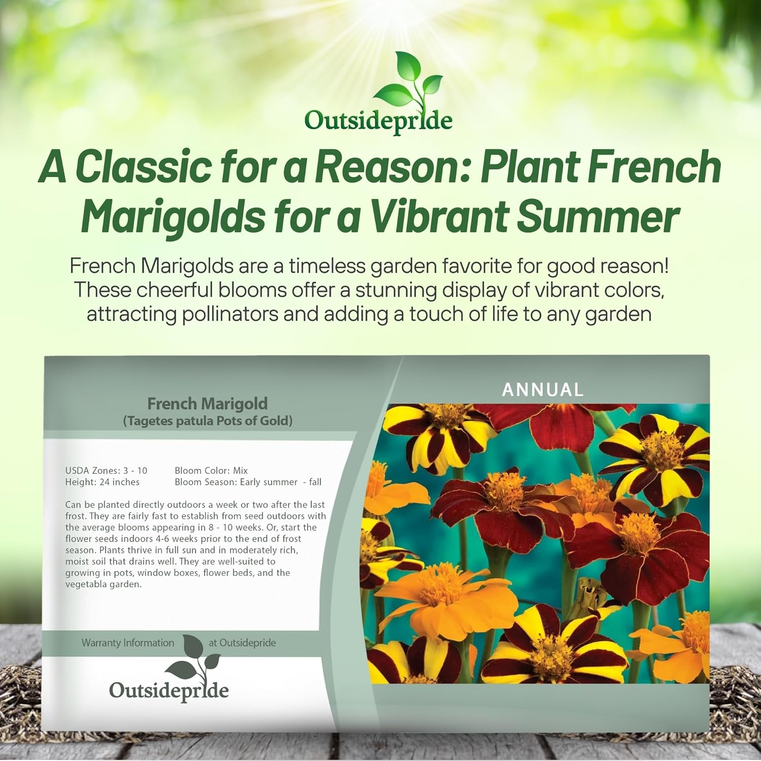 French Marigold Pots of Gold Double Seed Packet