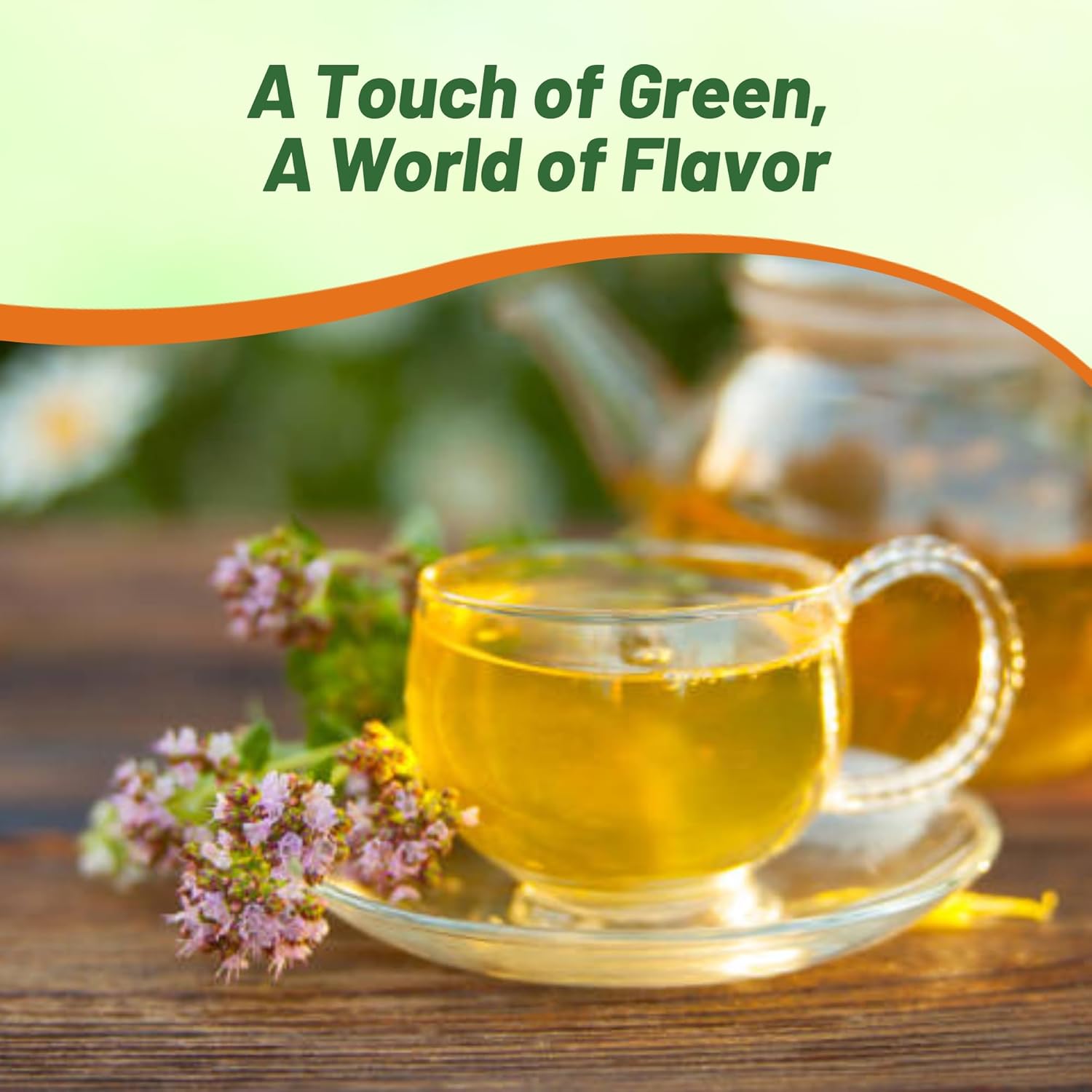Sweet Marjoram Culinary Herbs