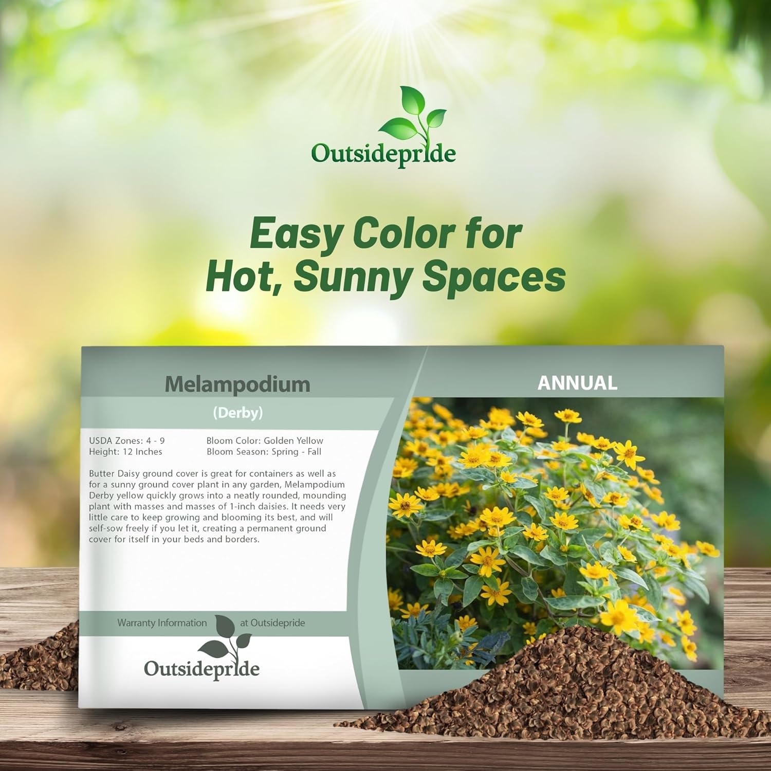Melampodium Ground Cover Seed Packet