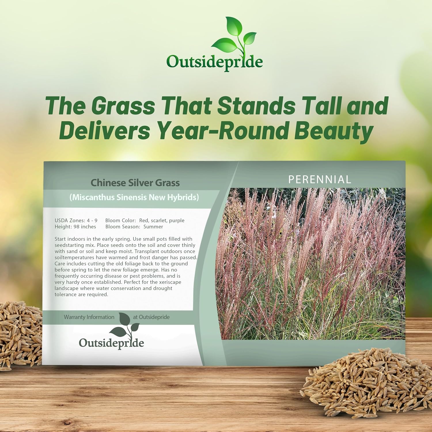 Miscanthus New Hybrids Seed Packet