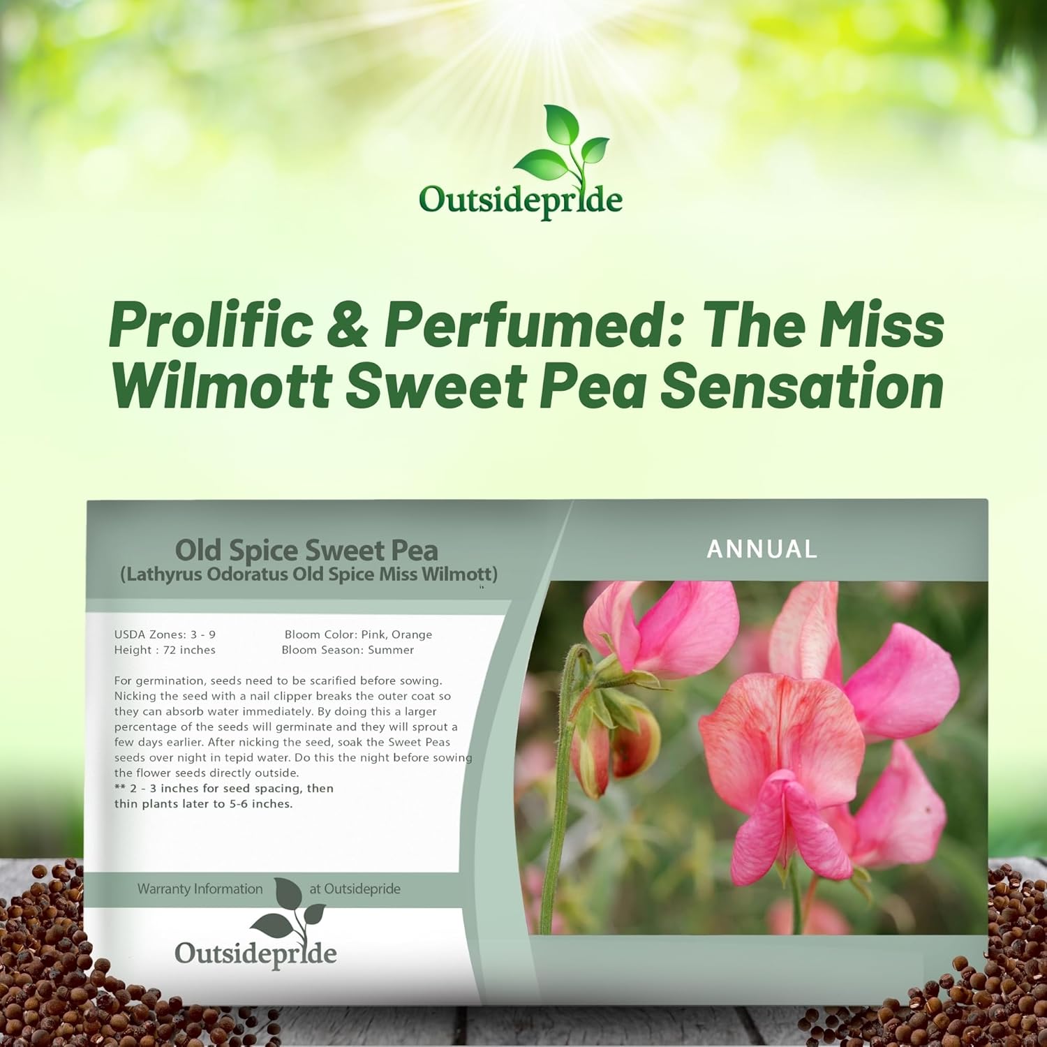 Sweet Pea Miss Wilmont Seed Packet
