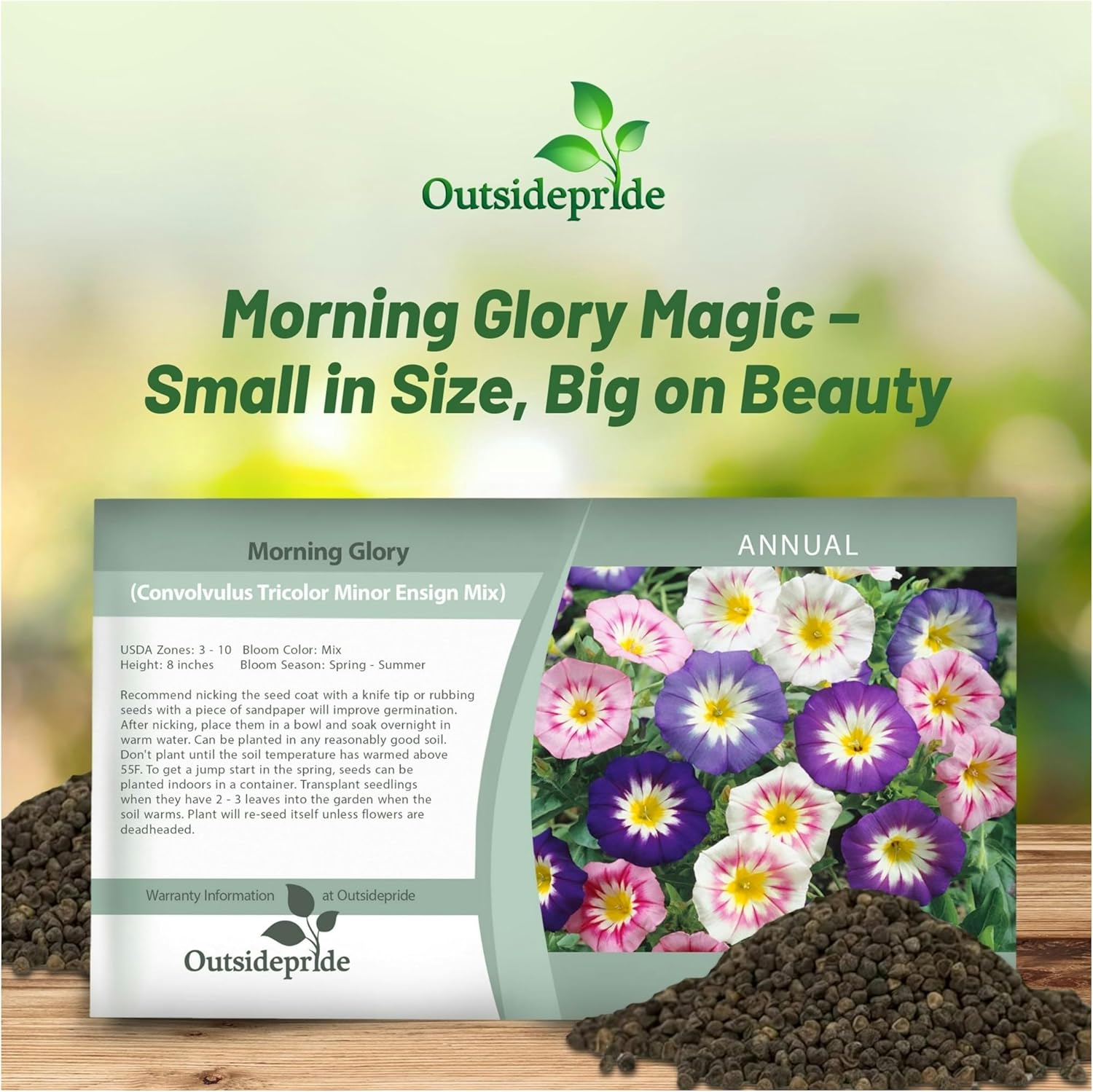 Ensign Mix Morning Glory Seed Packet