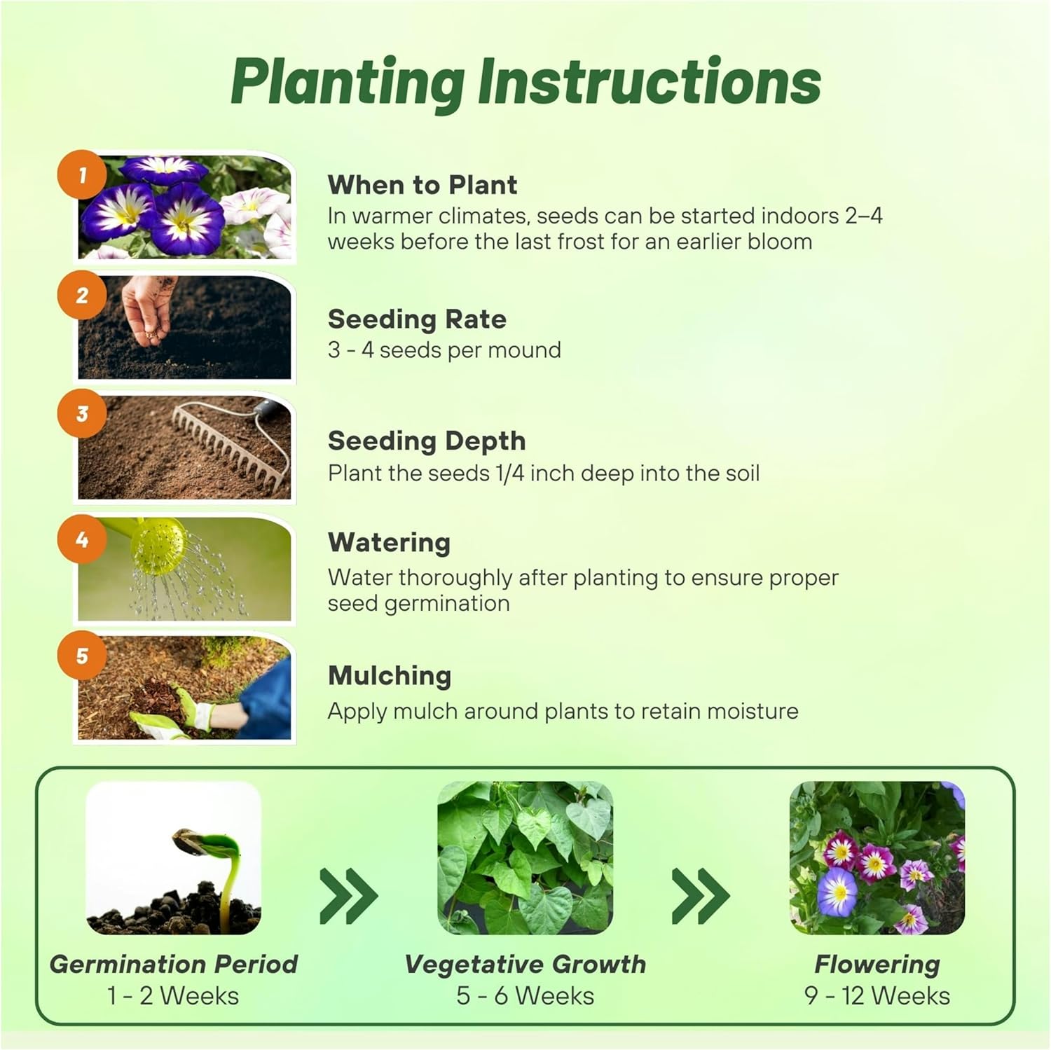 Ensign Mix Morning Glory Planting Directions