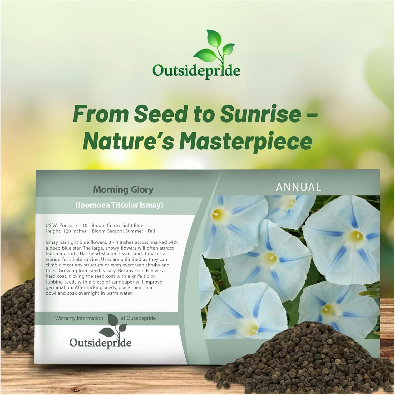 Morning Glory Ismay Seed Packet