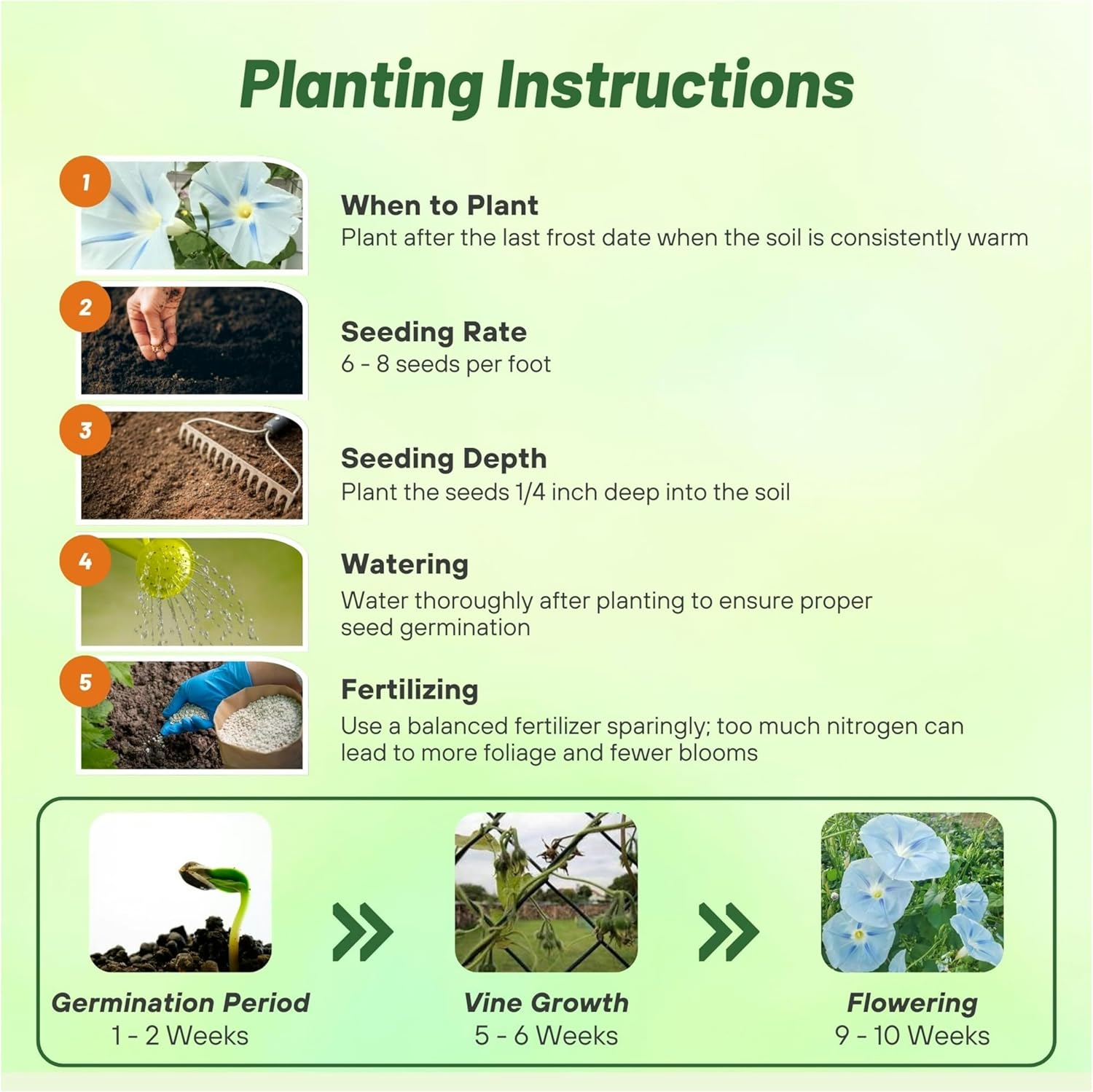 Ipomoea Tricolor Ismay Planting Directions