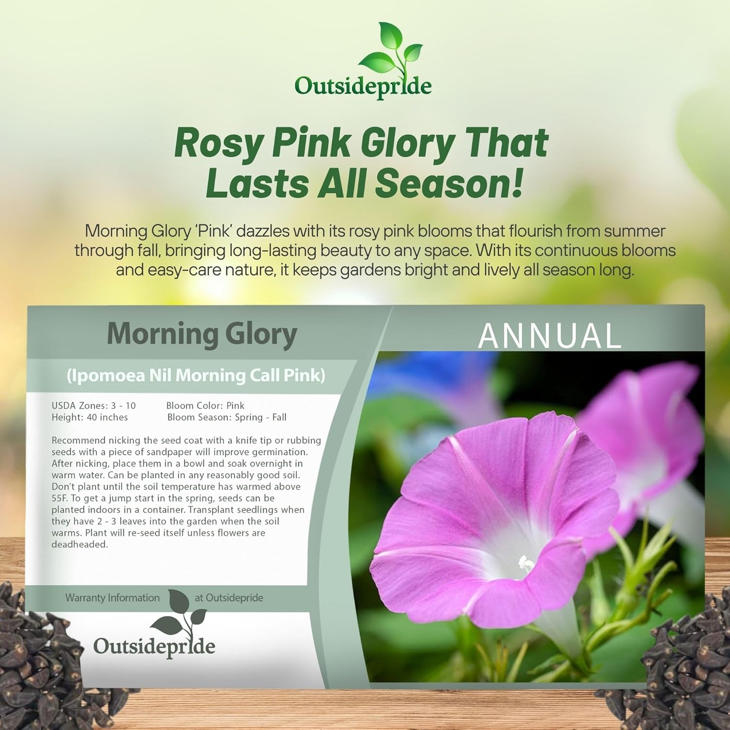 Annual Morning Glory Pink Seed Packets