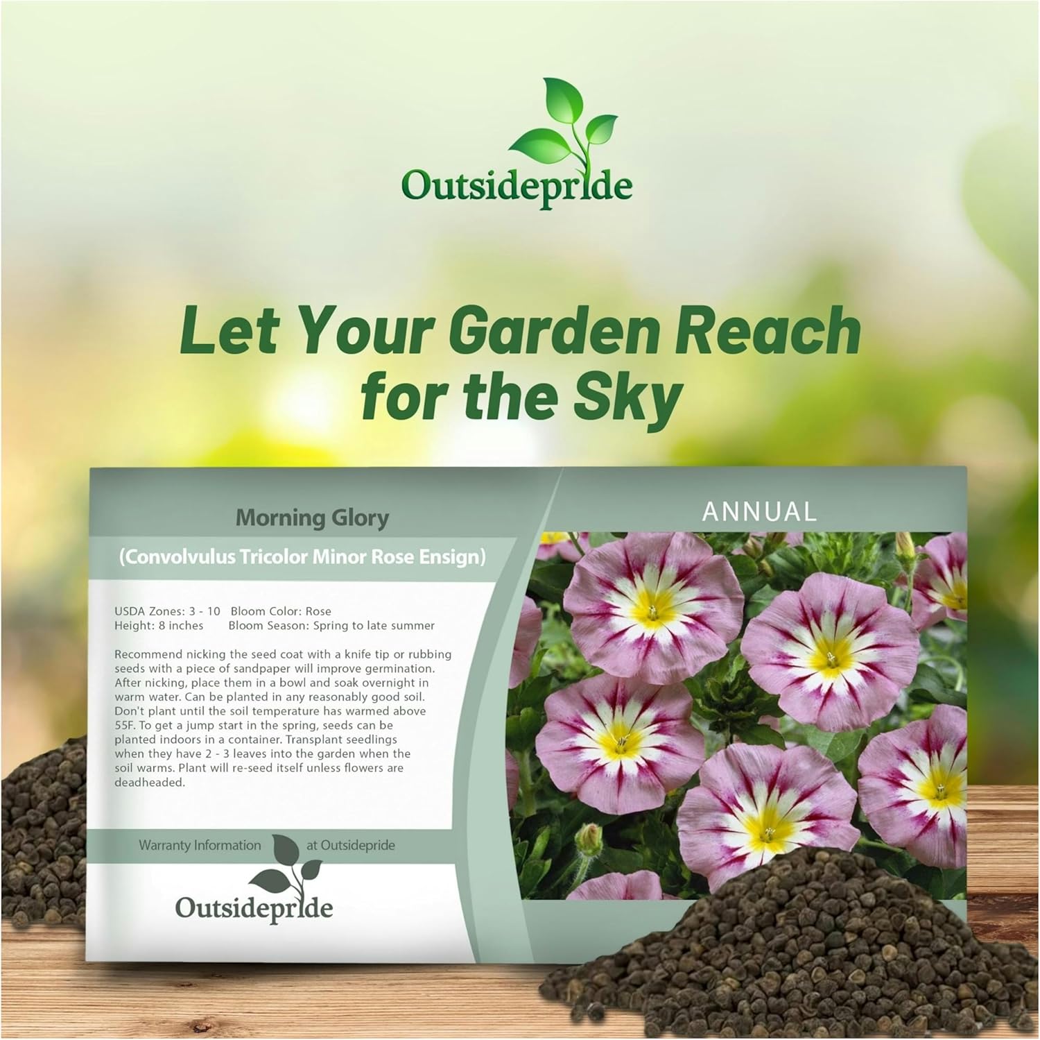Dwarf Rose Ensign Morning Glory Seed Packet