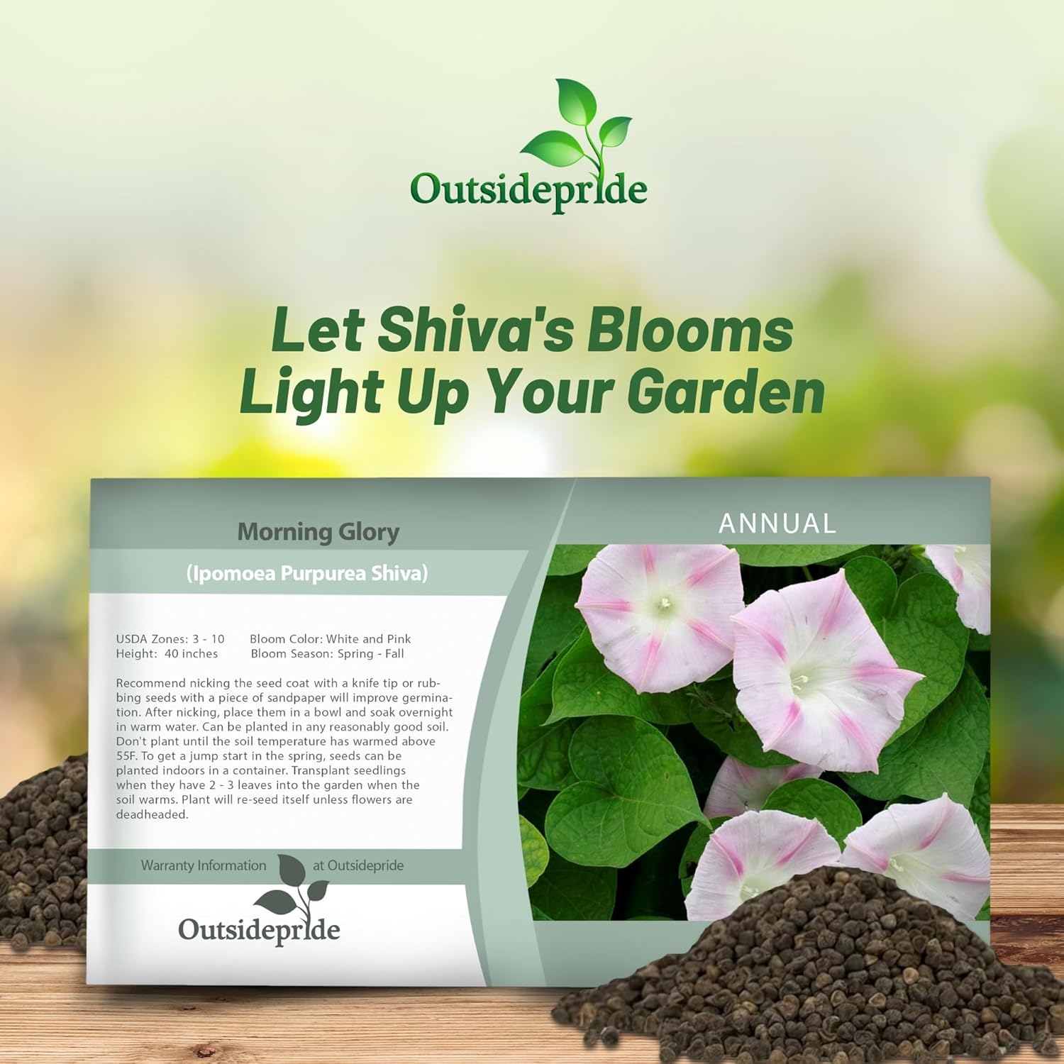 Morning Glory Vine Shiva Seed Packet