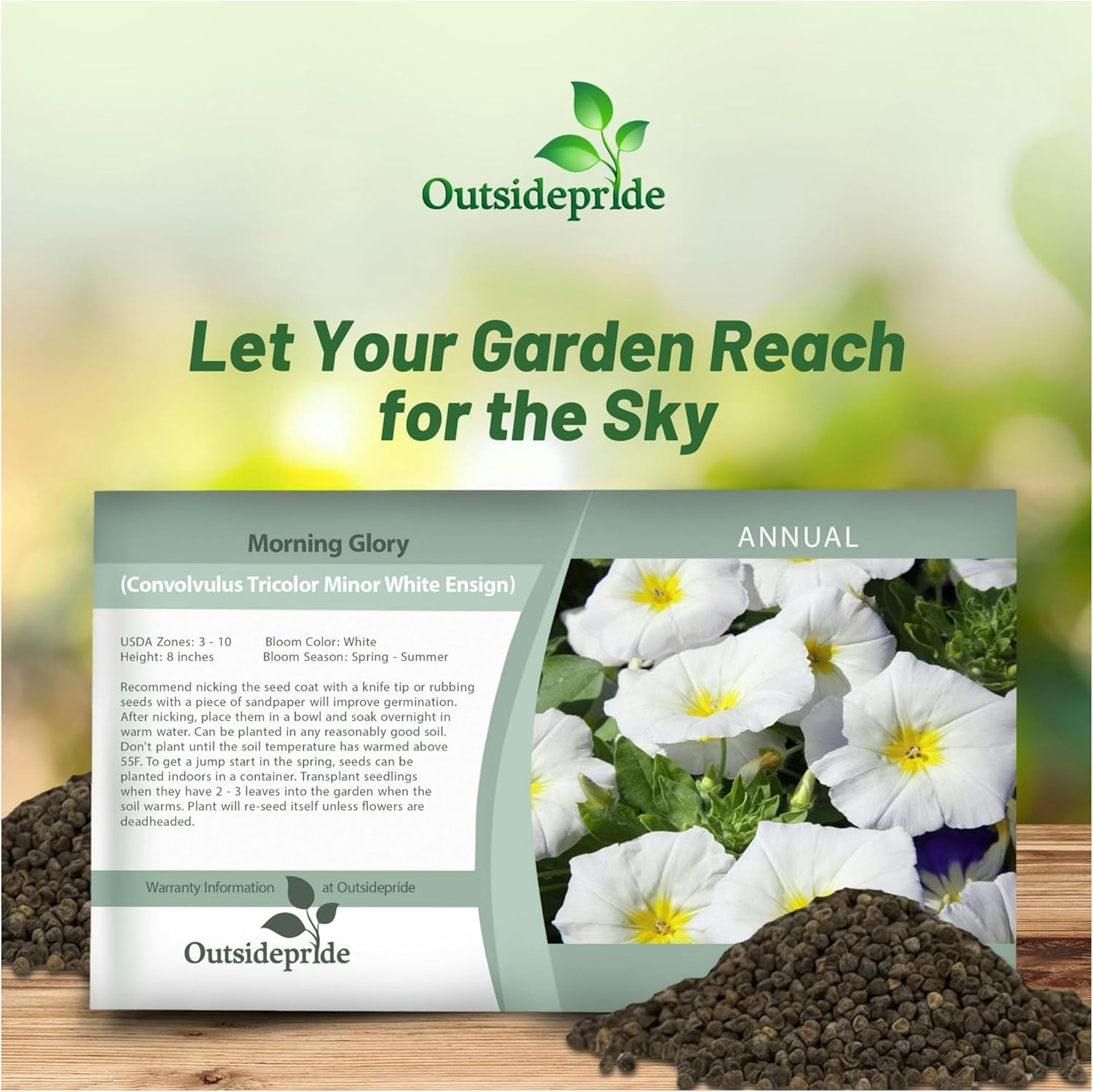 White Ensign Morning Glory Seed Packet