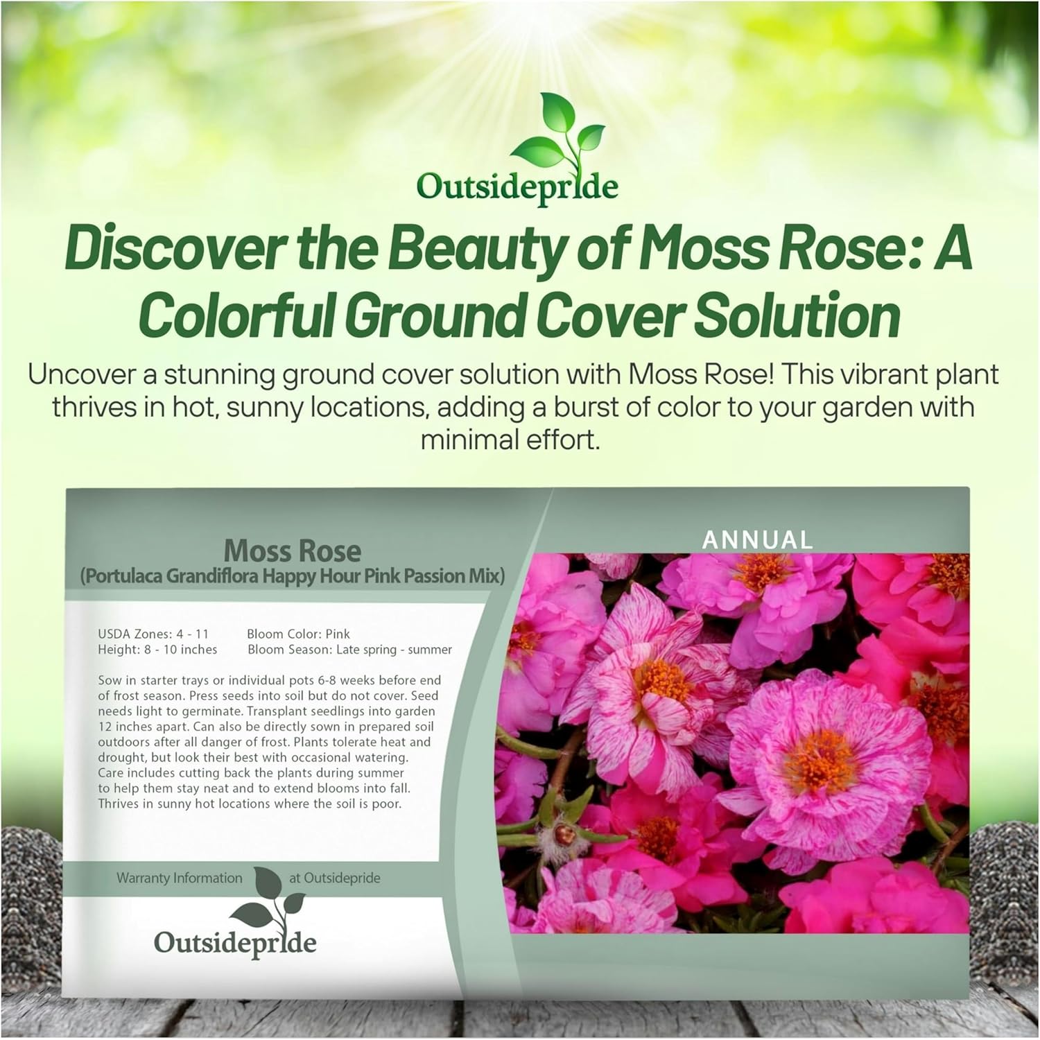 Portulaca Pink Passion Seed Packet Mix