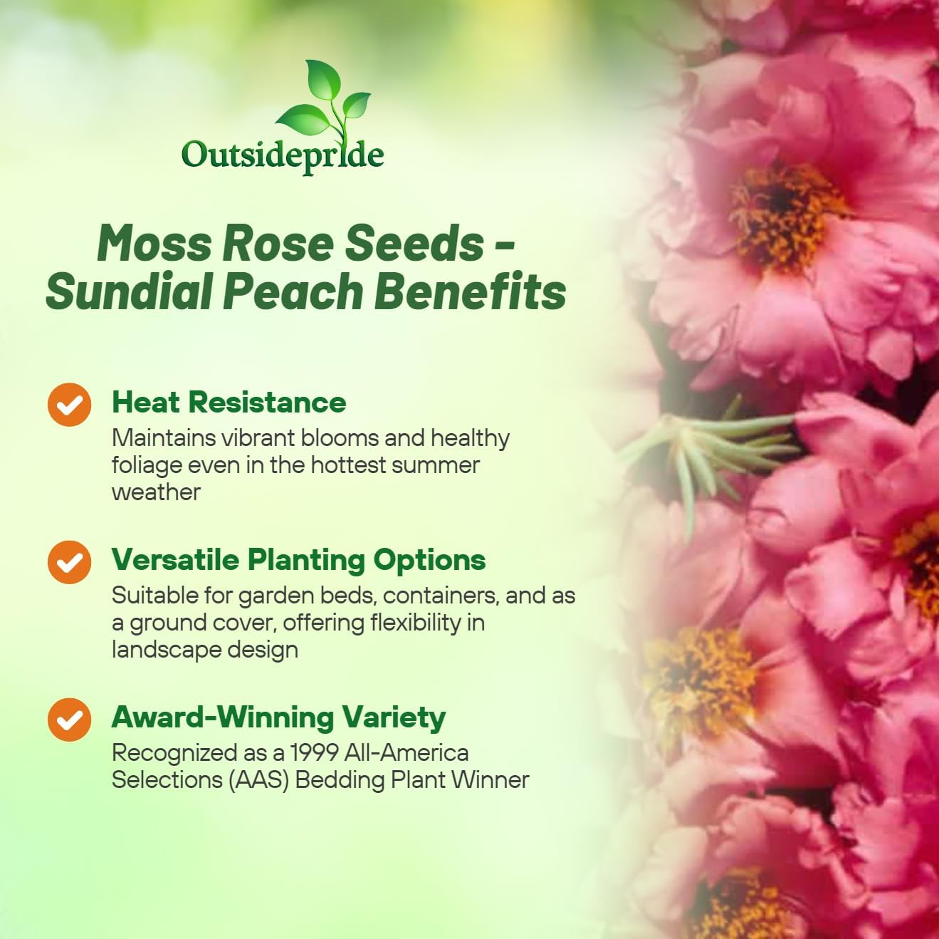 Moss Rose Peach Ground Cover