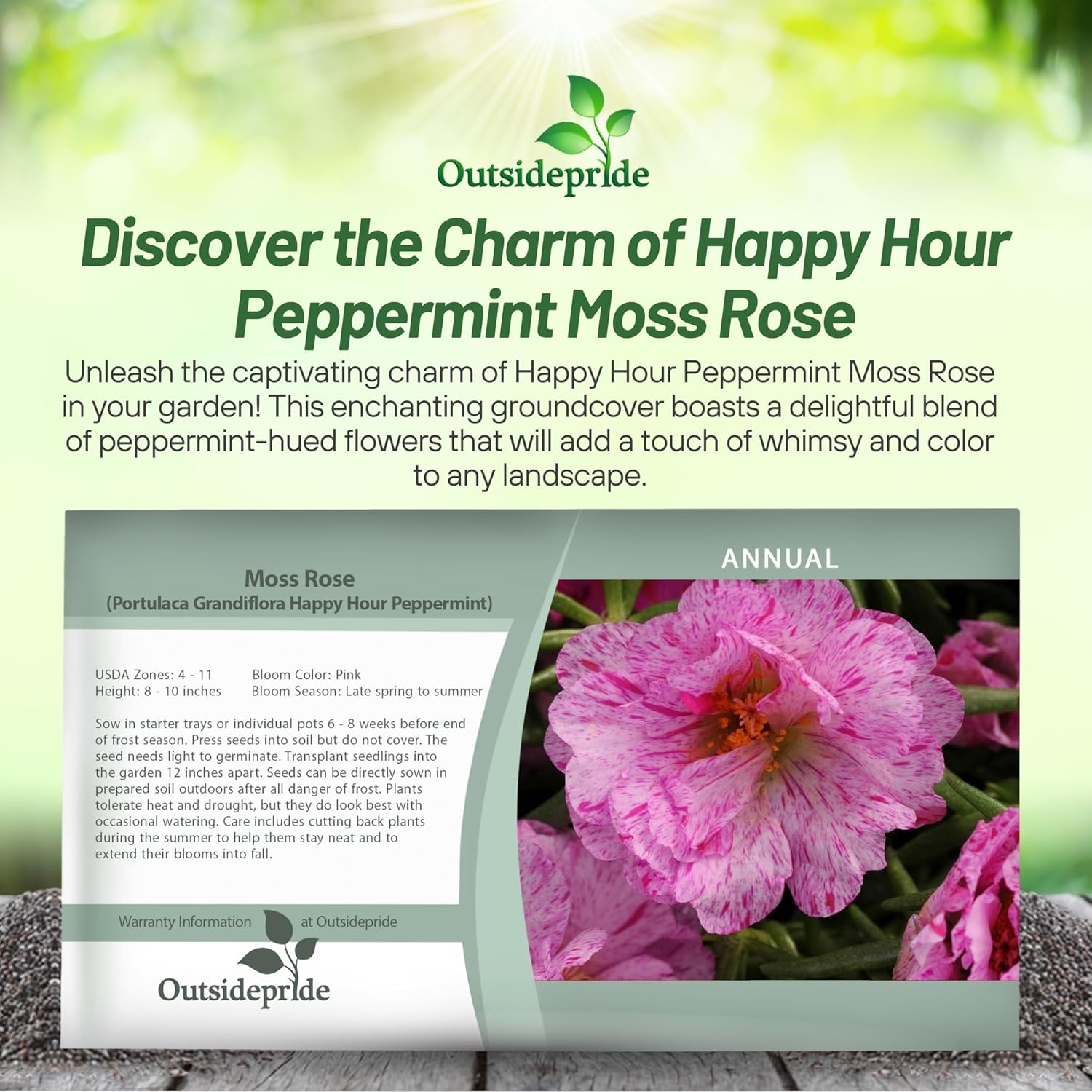 Portulaca Pink Peppermint Seed Packet
