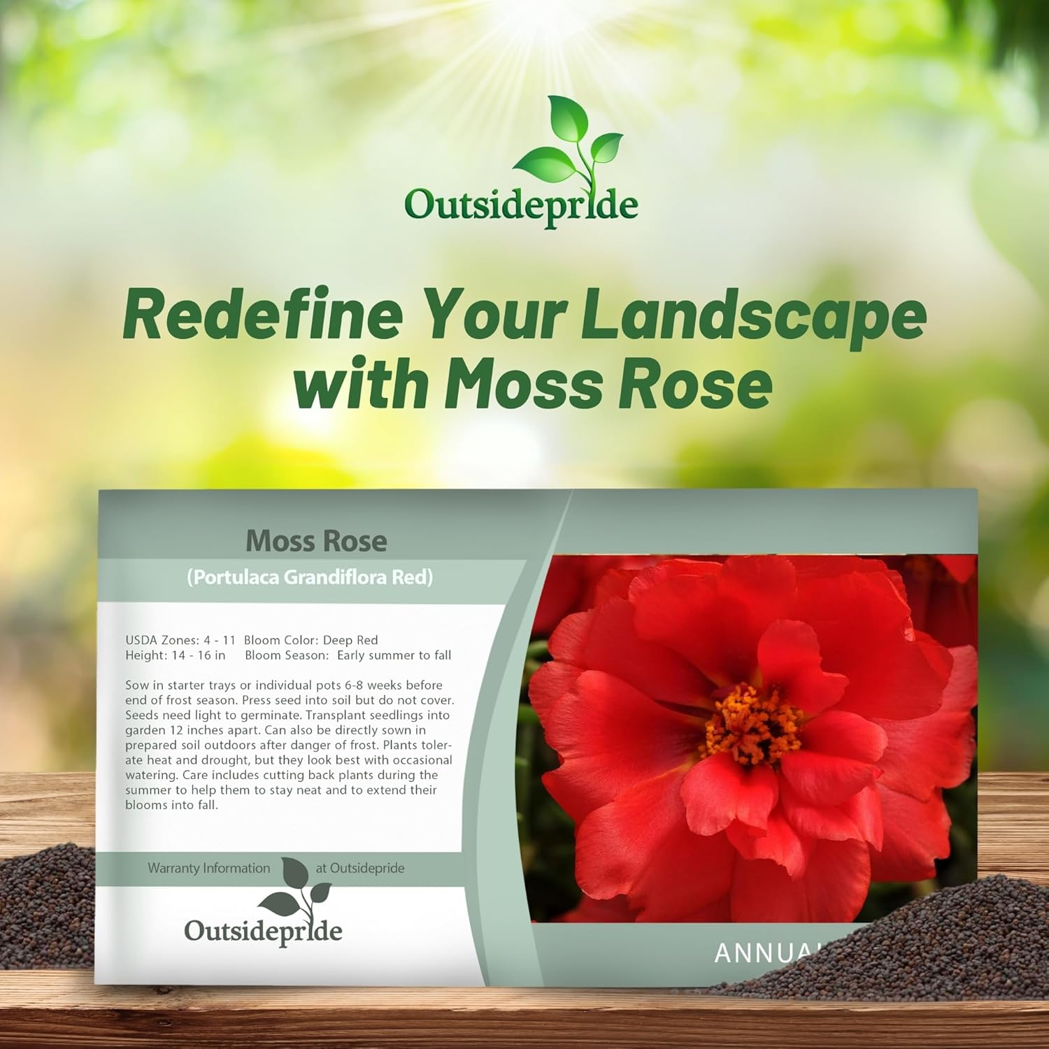 Moss Rose Red Succulent