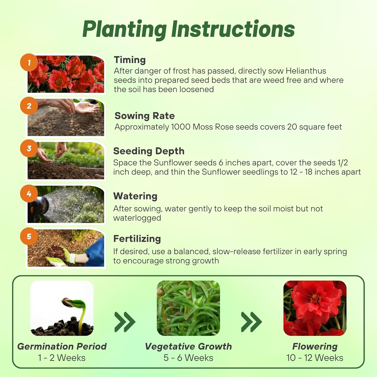 Moss Rose Red Planting Directions