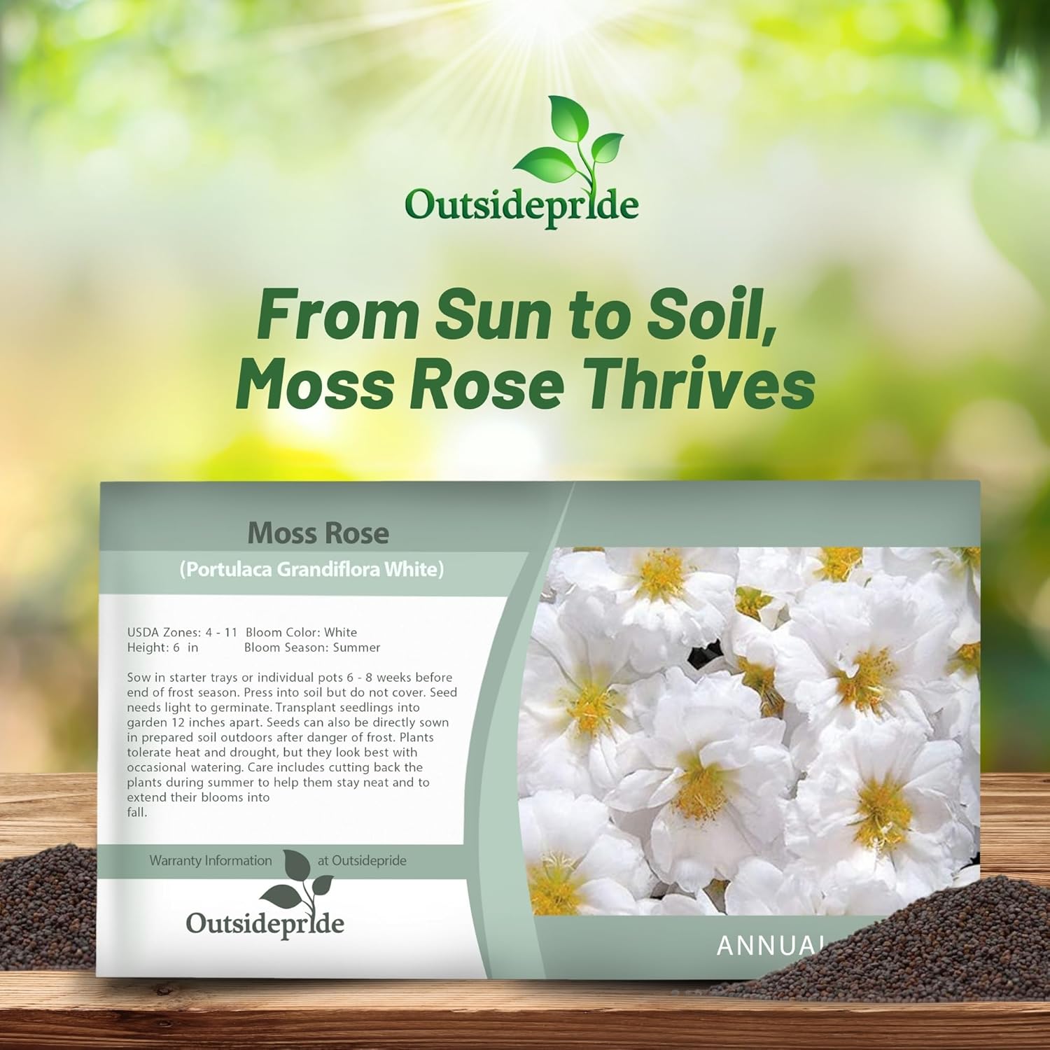 White Moss Rose Seed Packet