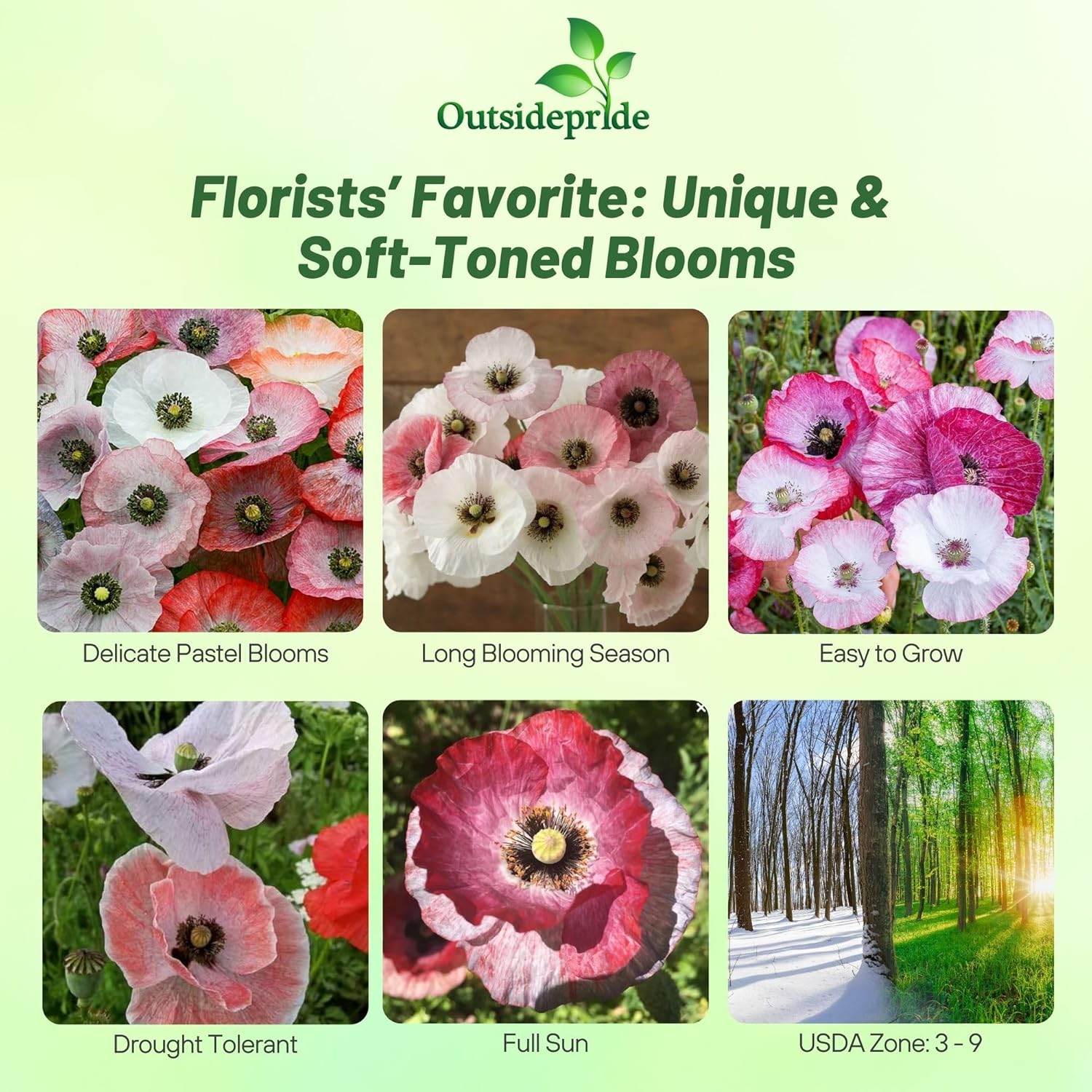 Mother of Pearl Cut Flowers