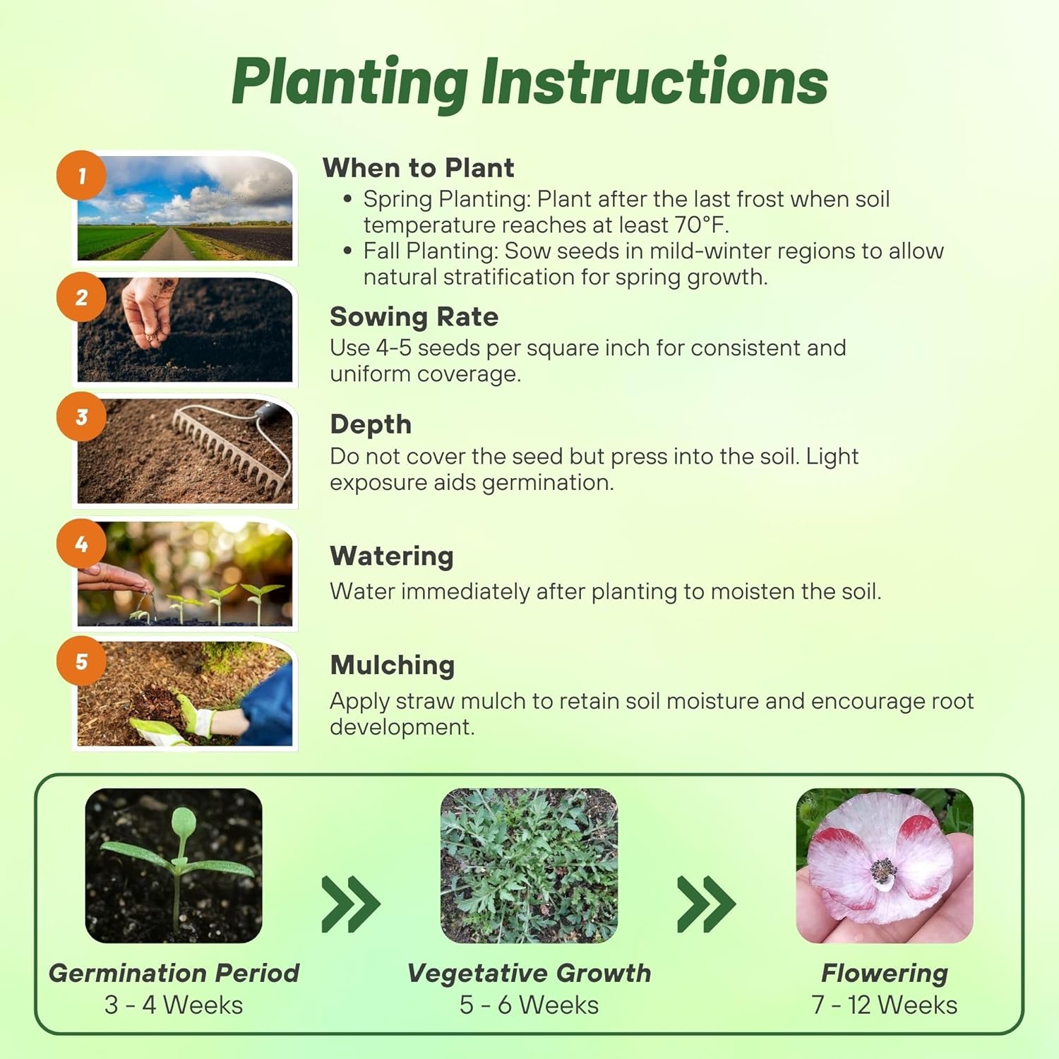 Mother of Pearl Poppy Planting Directions